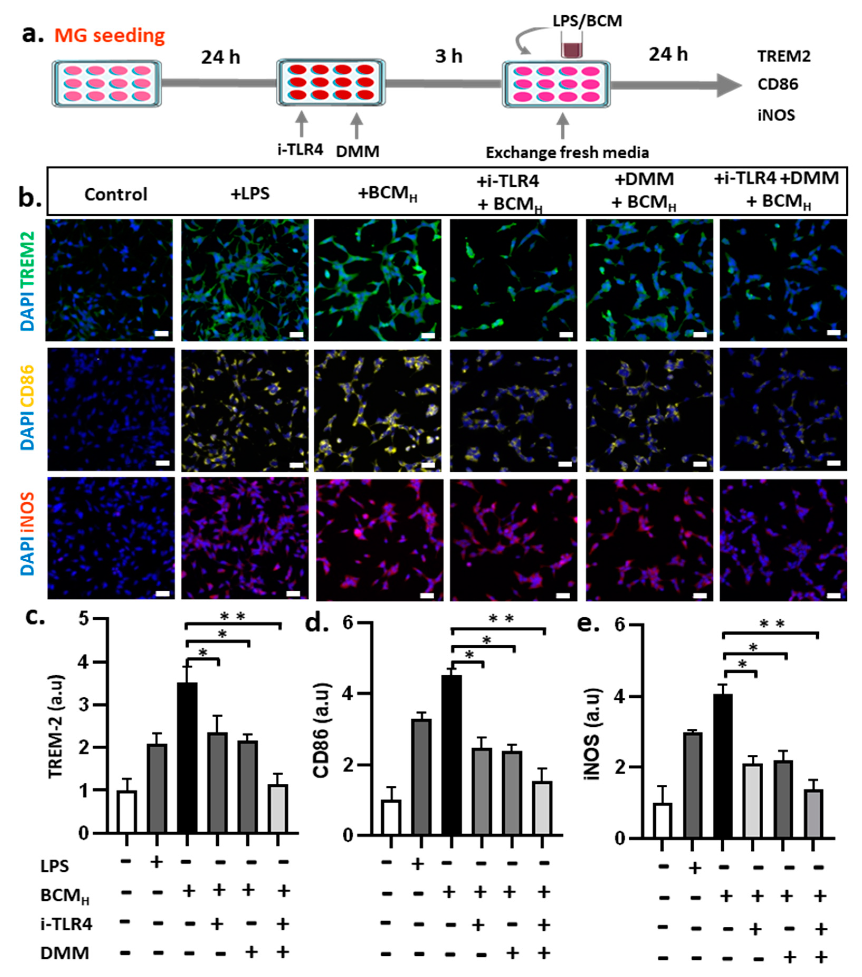 Ijms 22 06925 g006 550