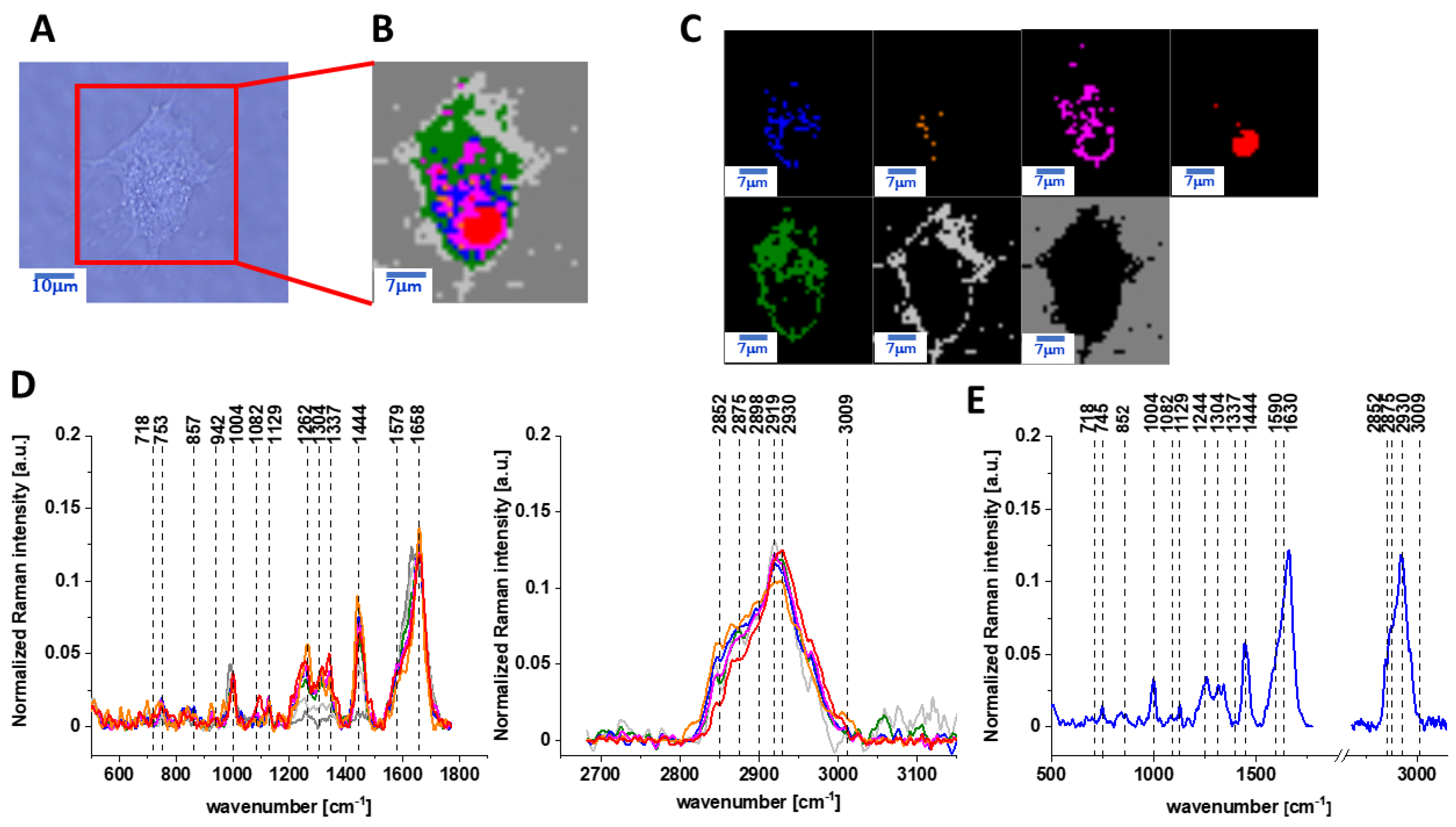 Ijms 22 06928 g007 Ijms 22 06928 g007