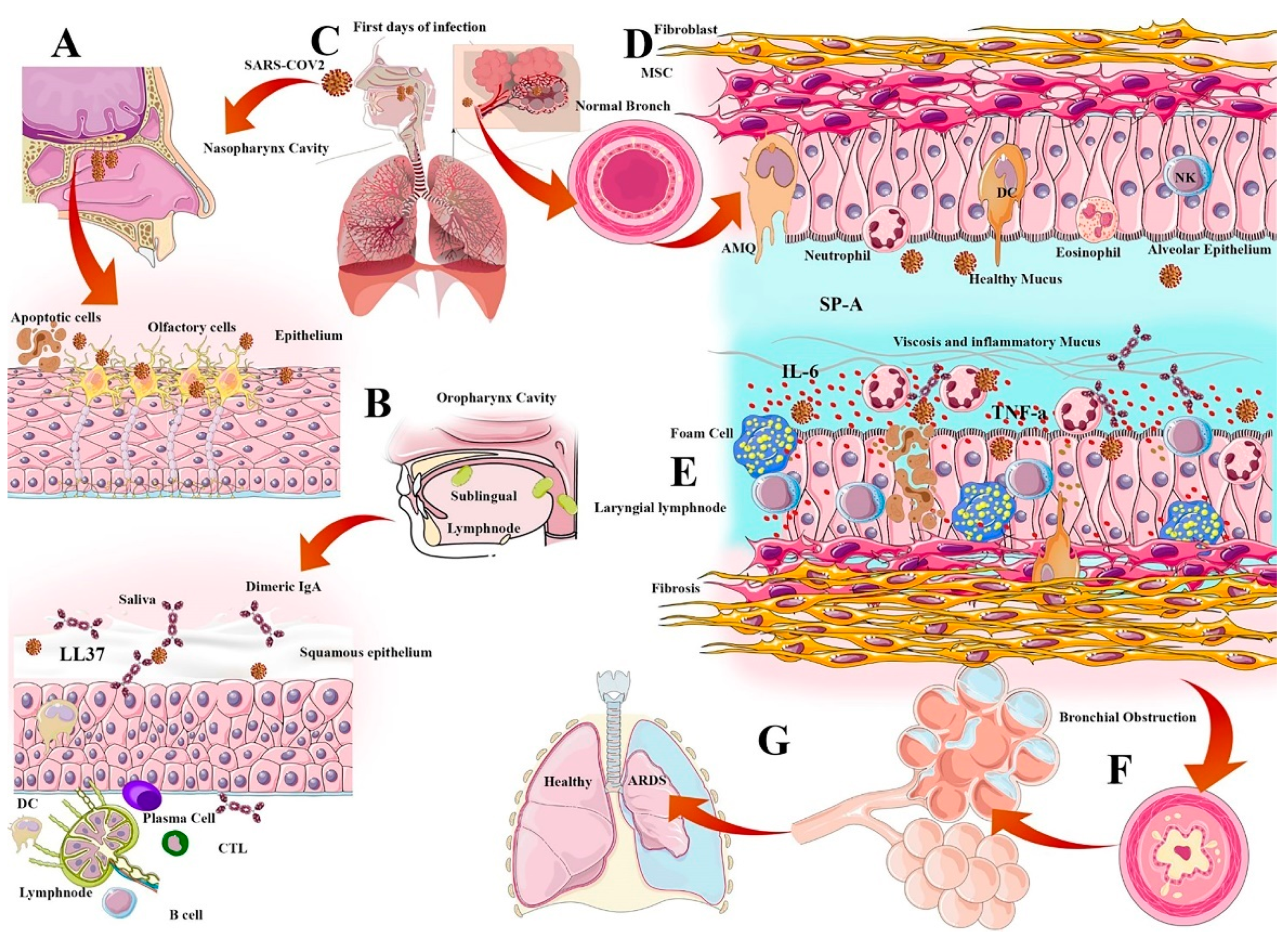 Ijms 22 06937 g001 Ijms 22 06937 g001