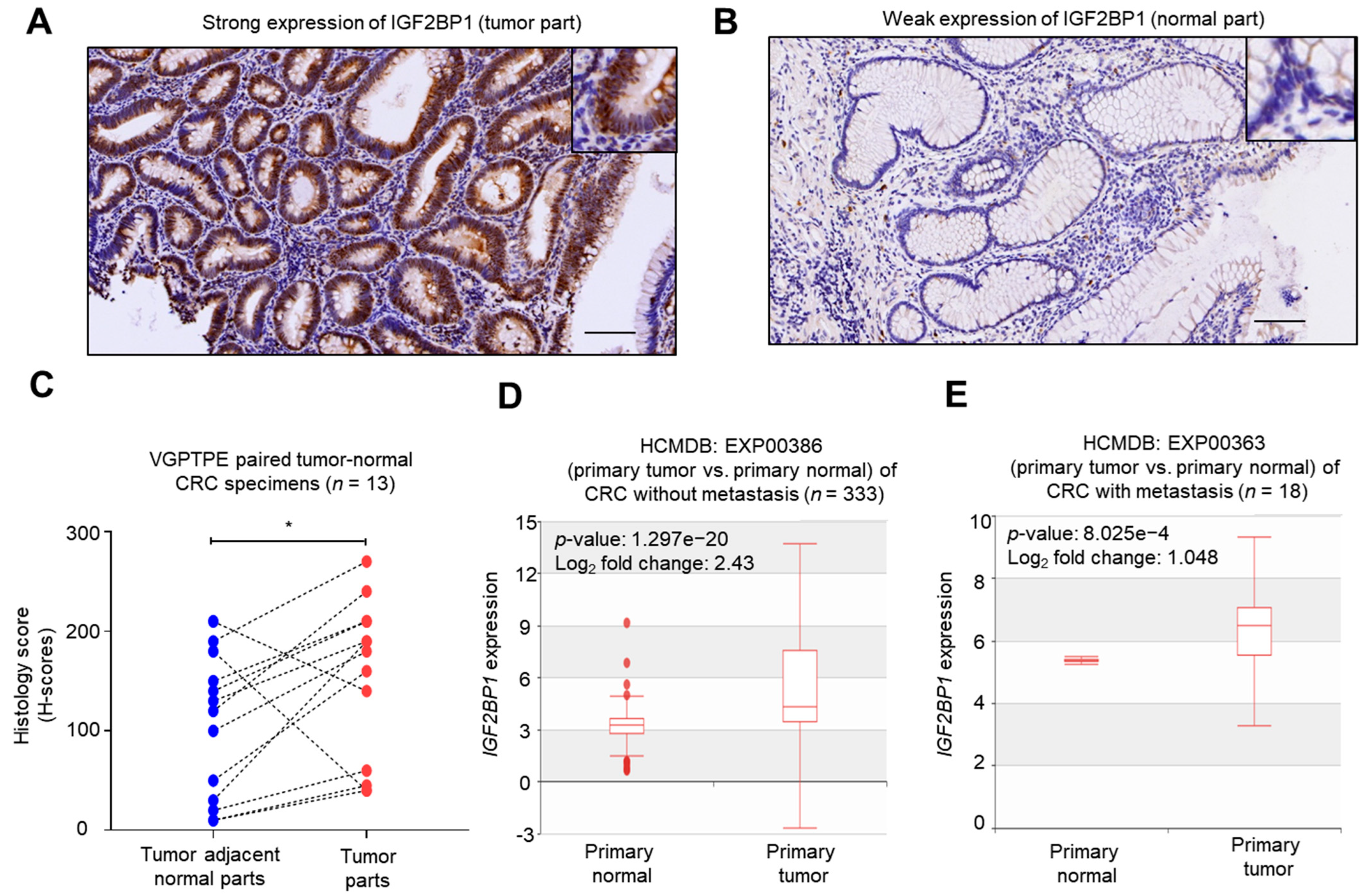 Ijms 22 06940 g001 550