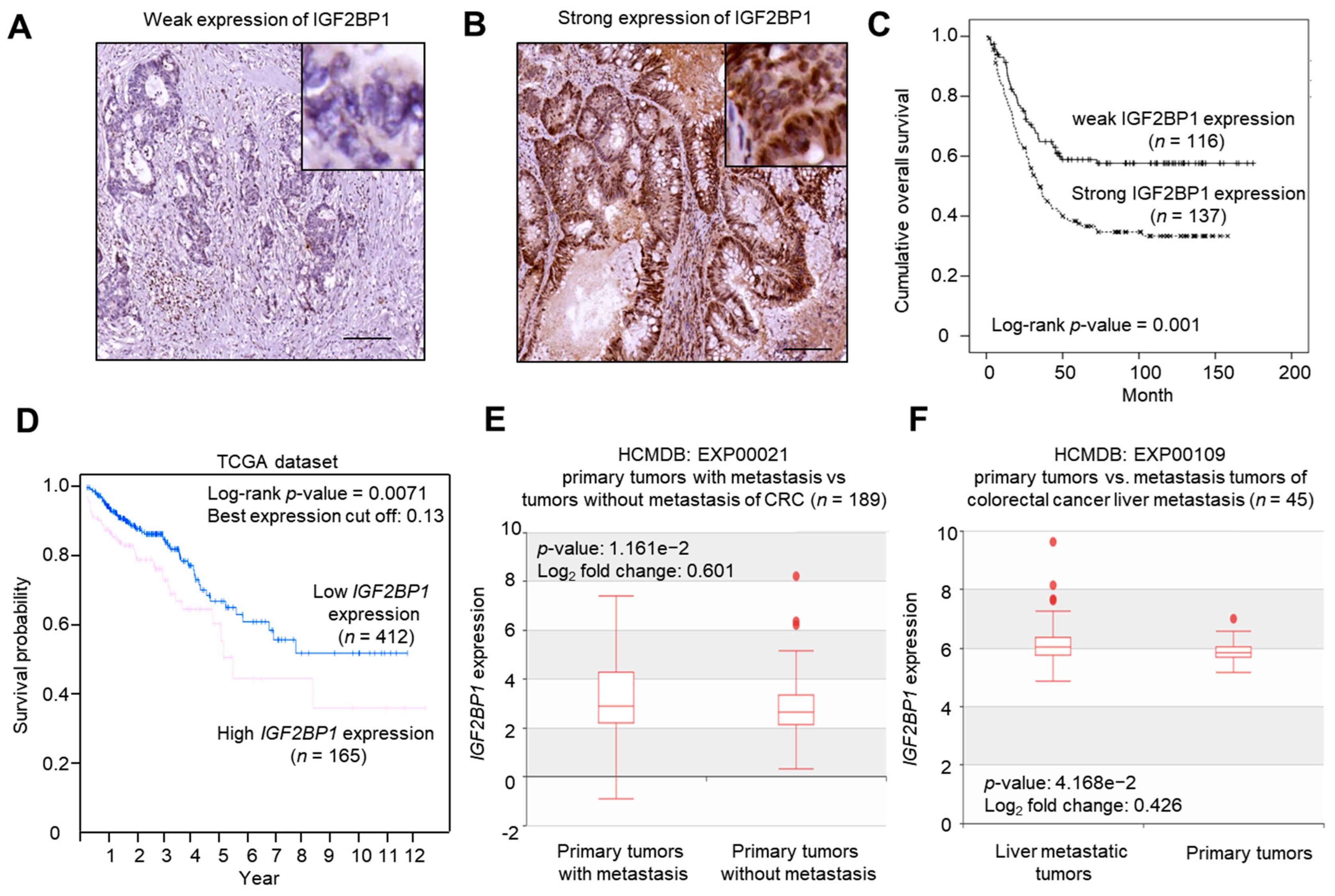 Ijms 22 06940 g002 550