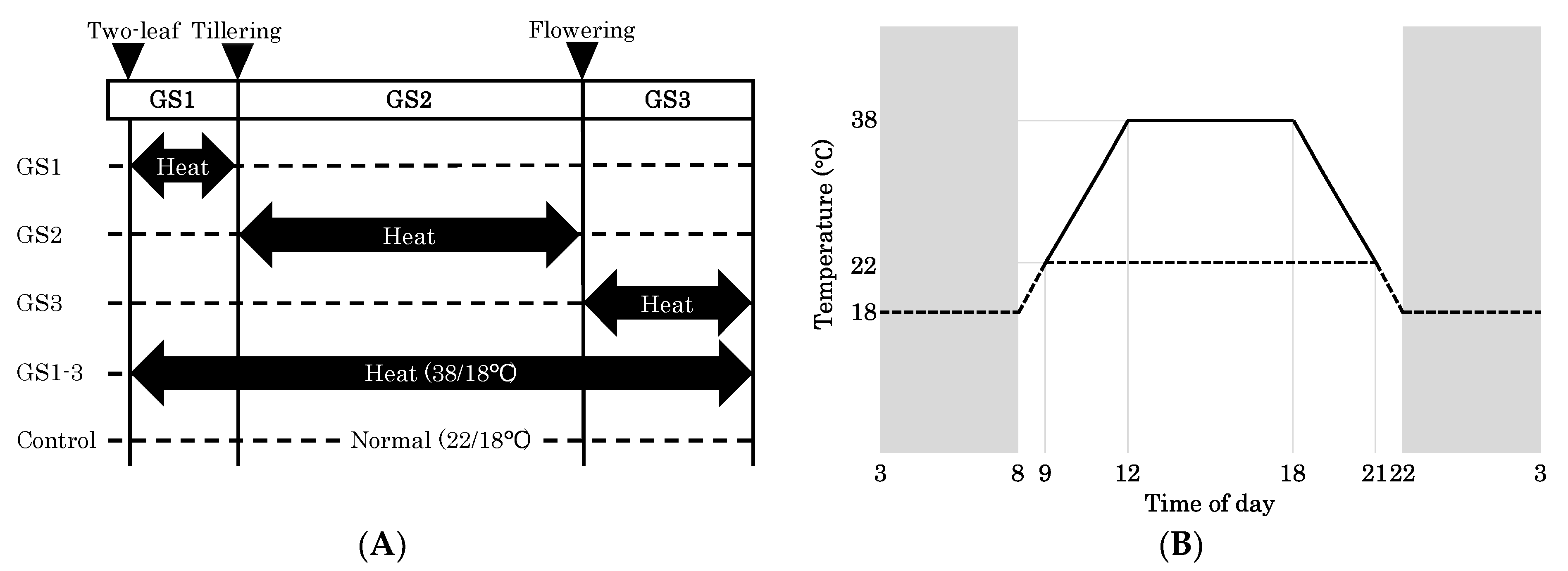 Ijms 22 06942 g001 550