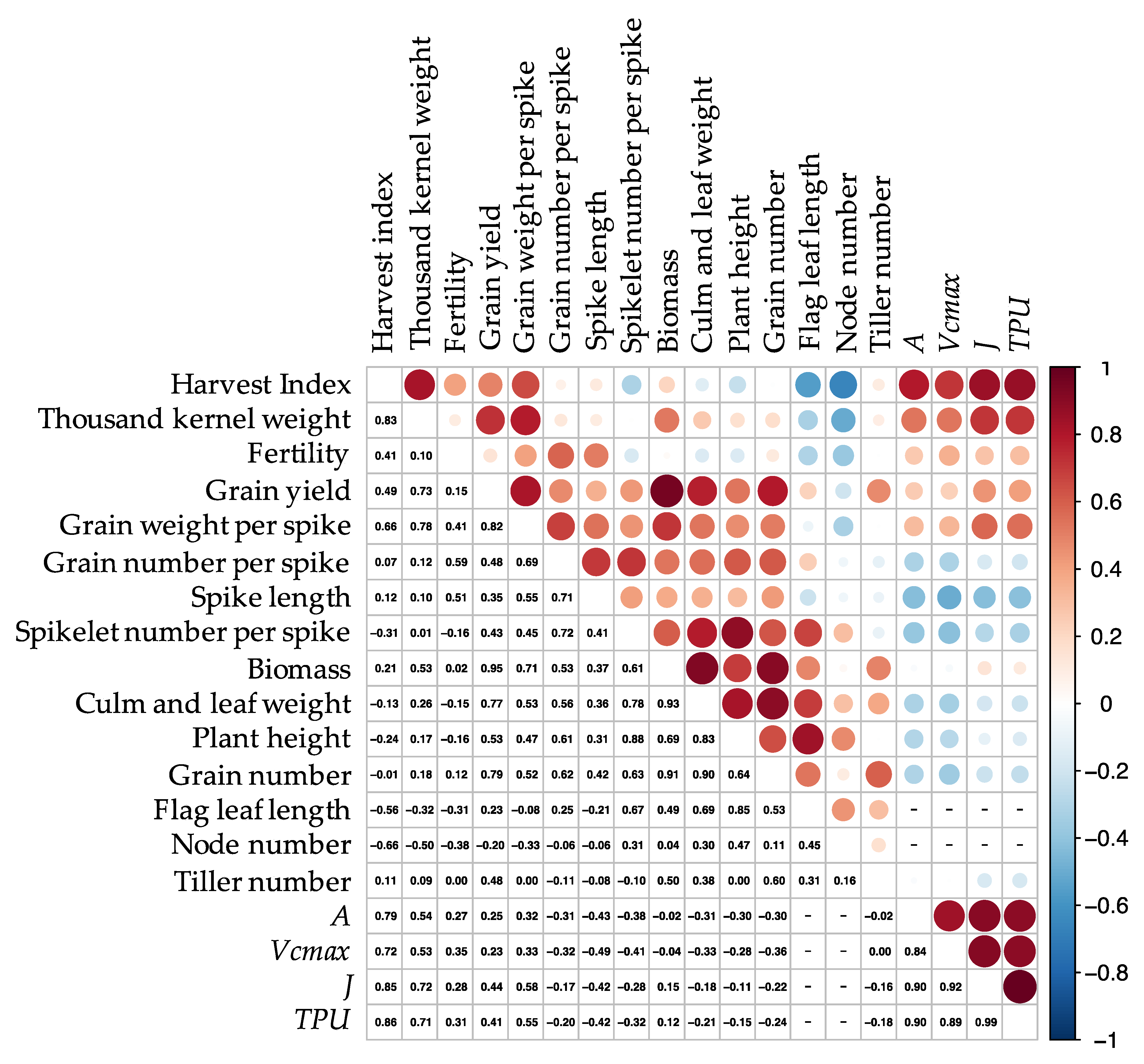 Ijms 22 06942 g005 550