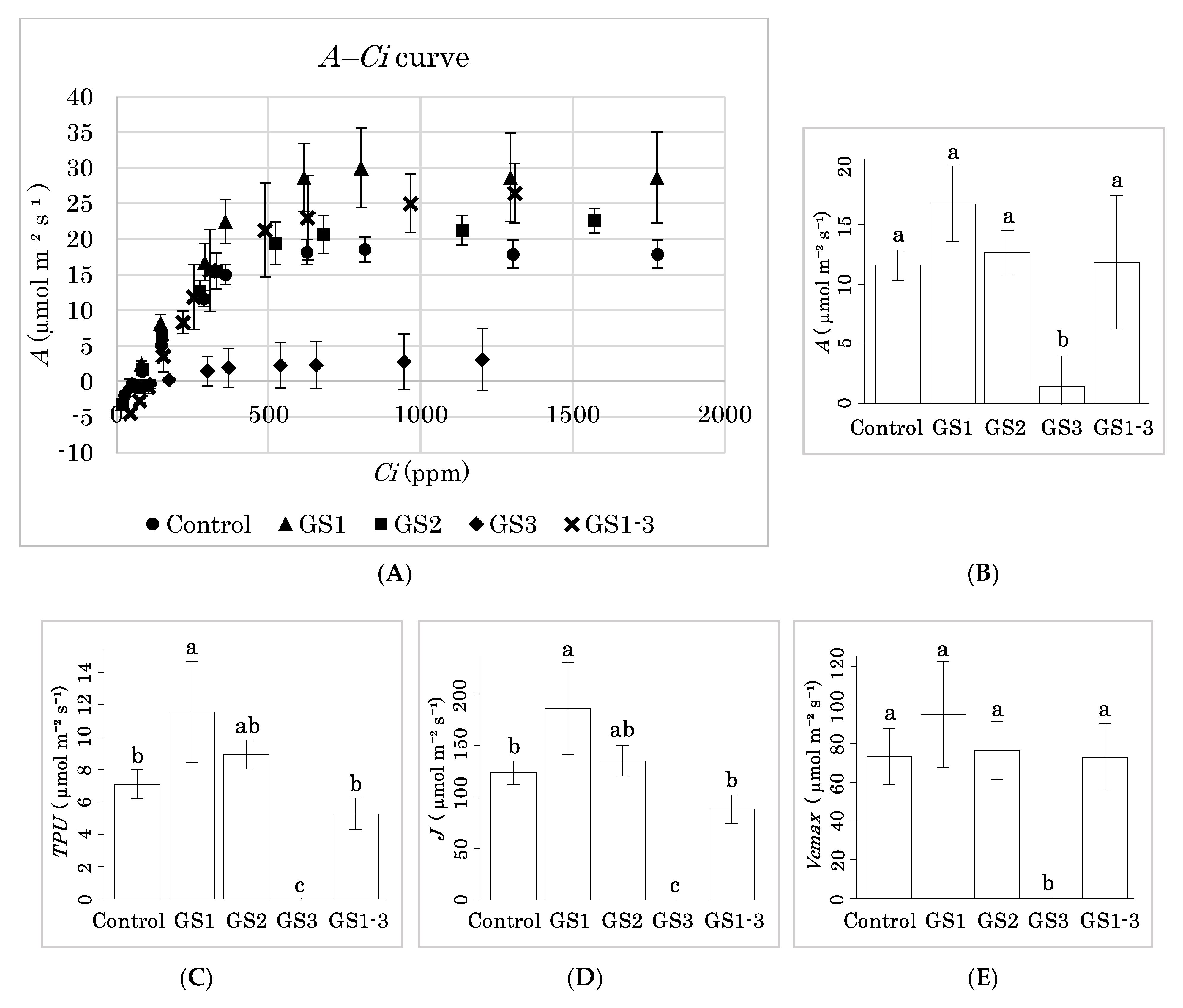 Ijms 22 06942 g007a 550