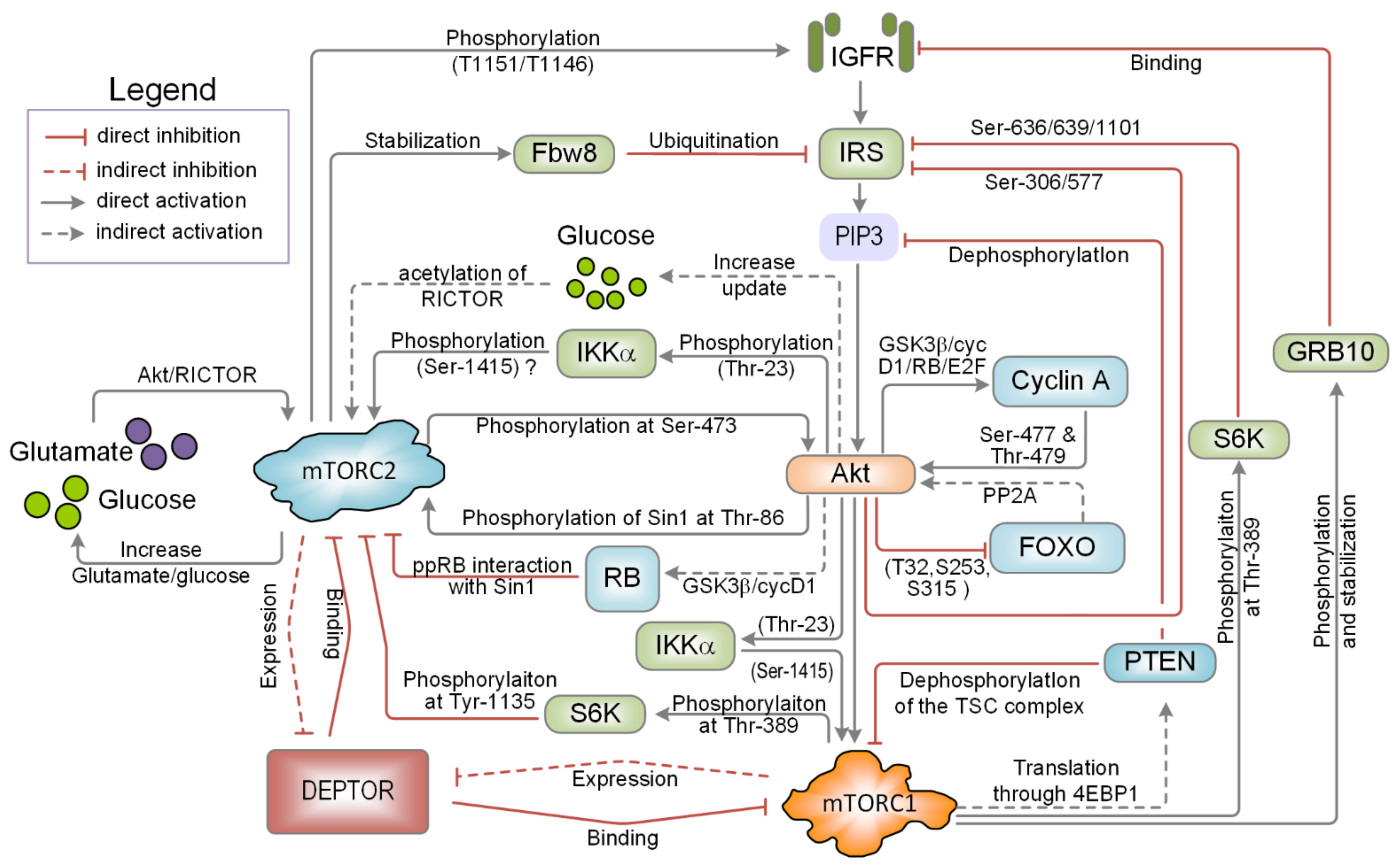 Ijms 22 06944 g002 Ijms 22 06944 g002