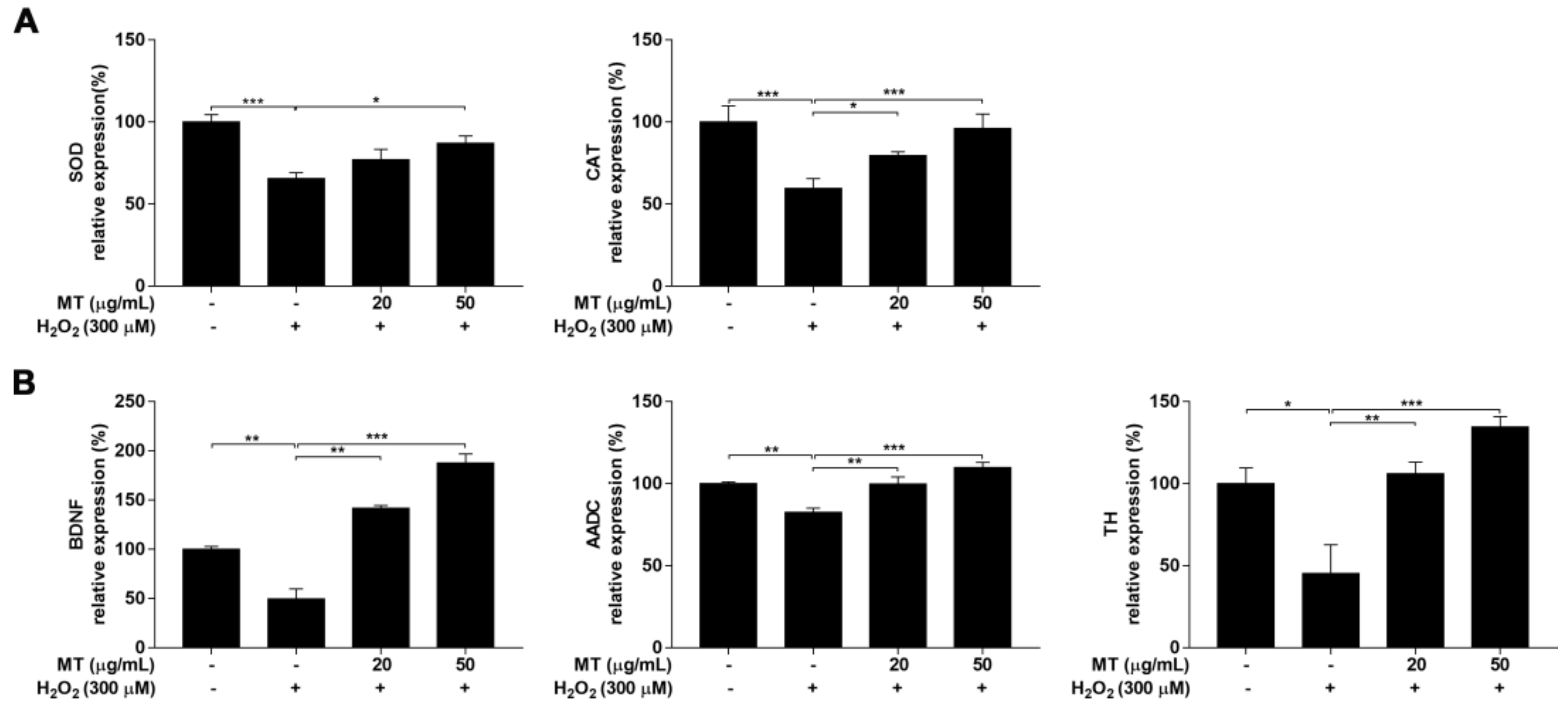Ijms 22 06946 g006 550