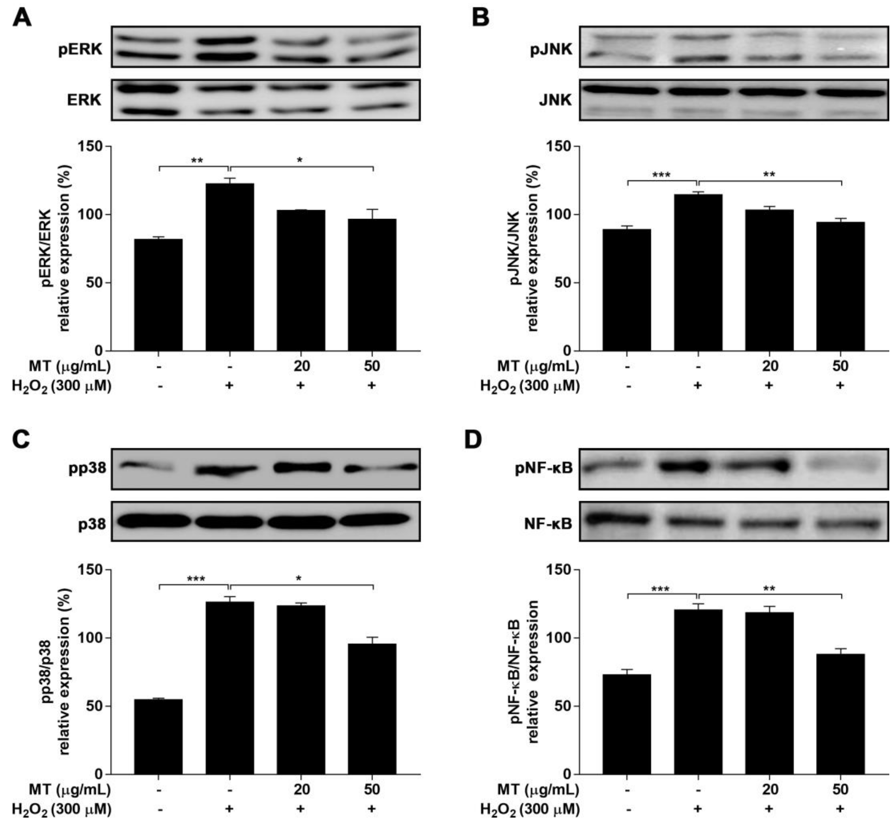 Ijms 22 06946 g008 550