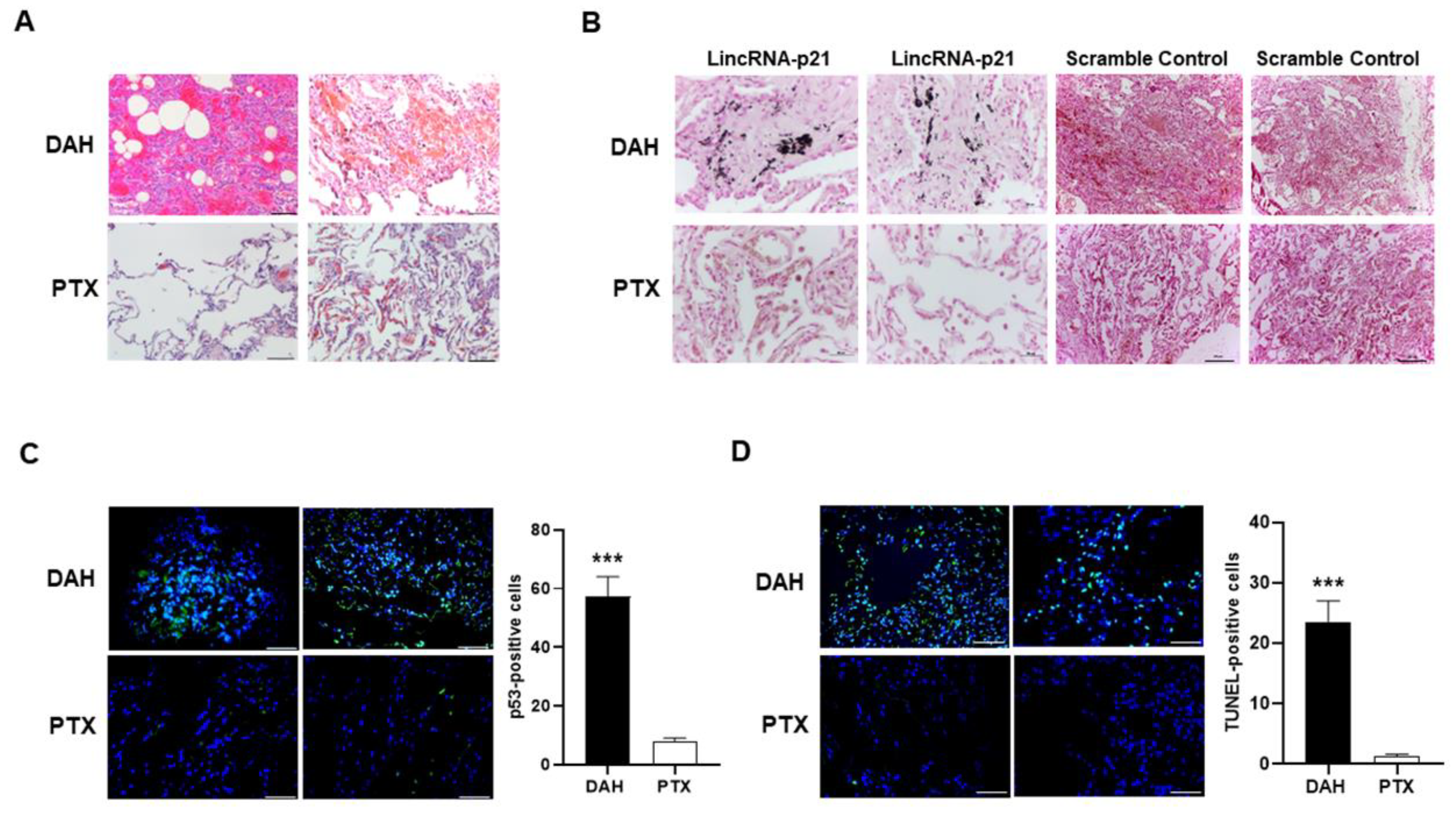 Ijms 22 06948 g002 550