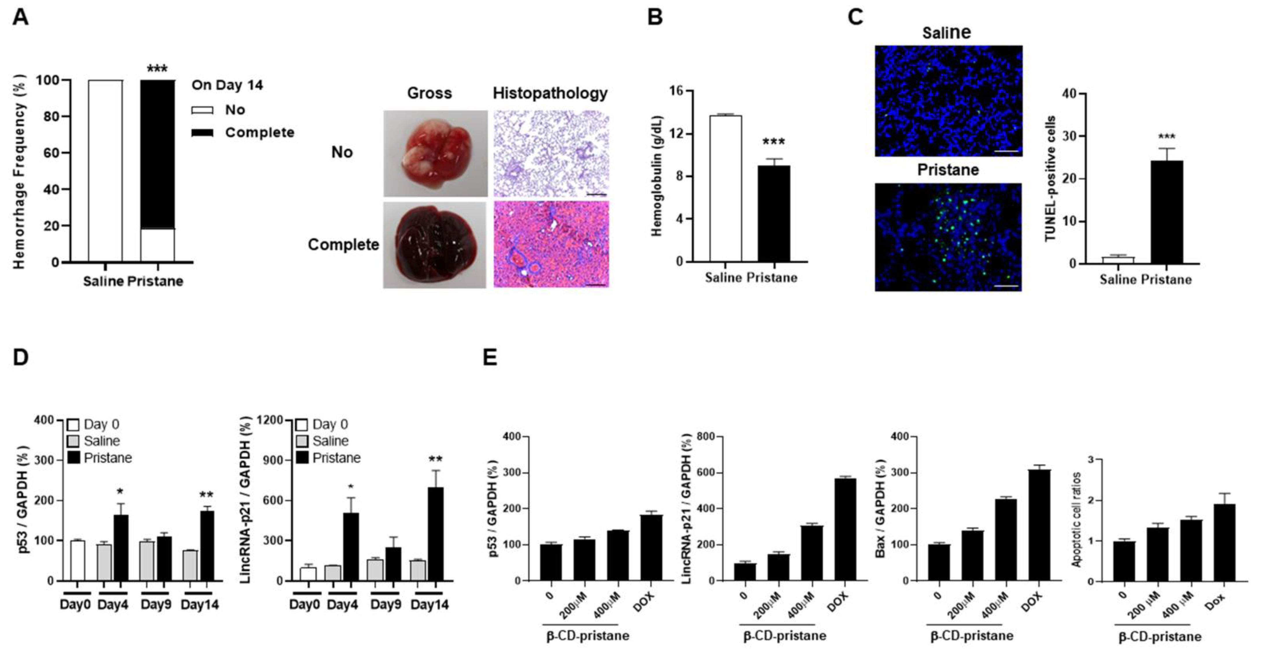 Ijms 22 06948 g003 550