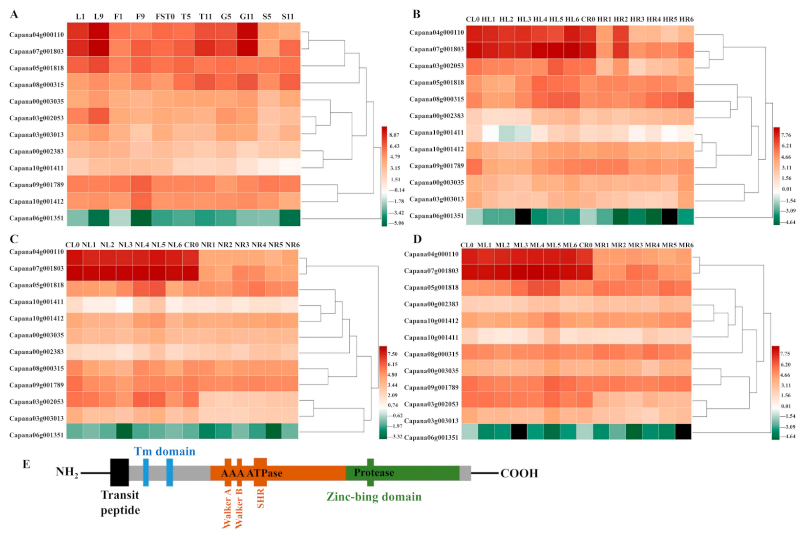 Ijms 22 06953 g001 550