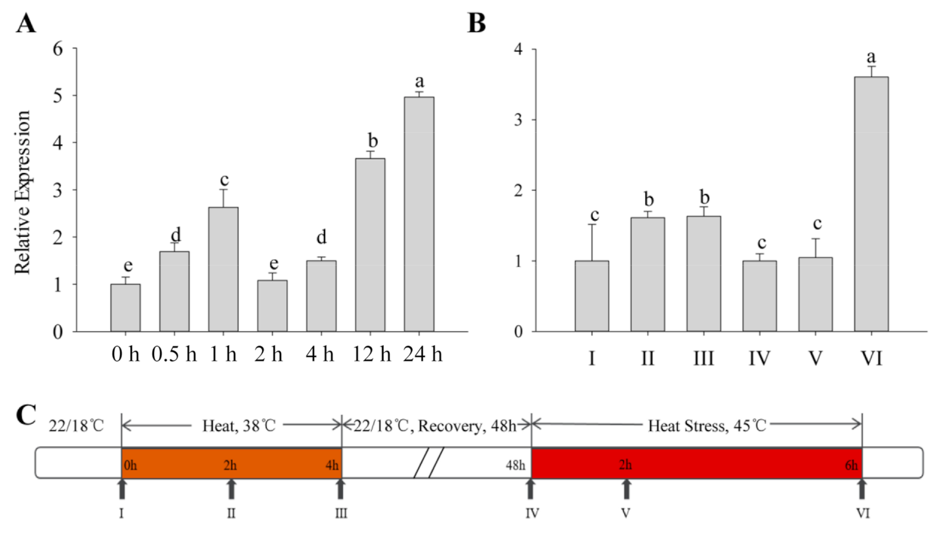 Ijms 22 06953 g002 550
