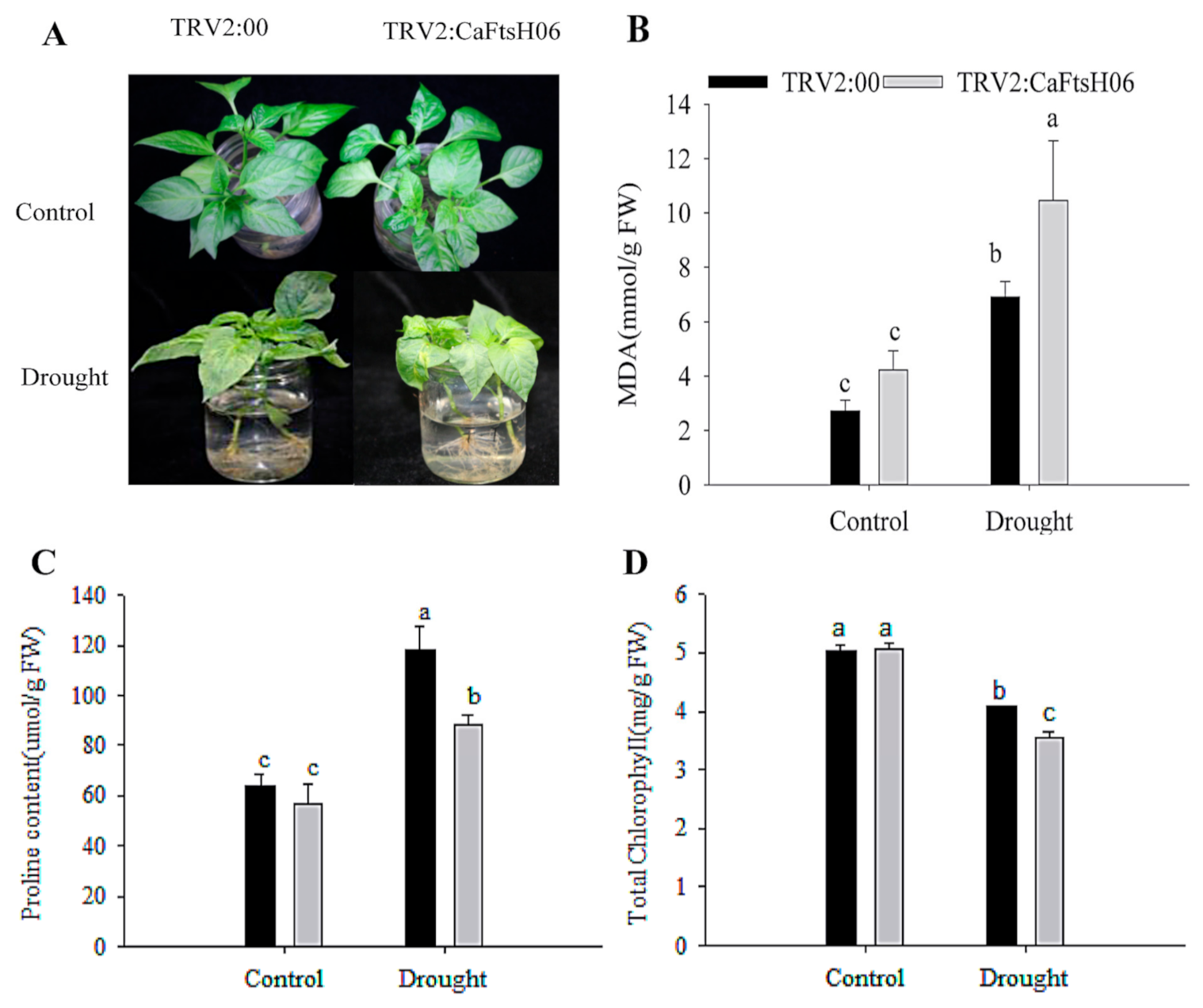 Ijms 22 06953 g008 550
