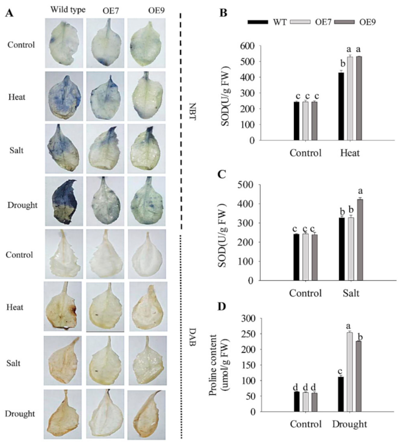 Ijms 22 06953 g013 550