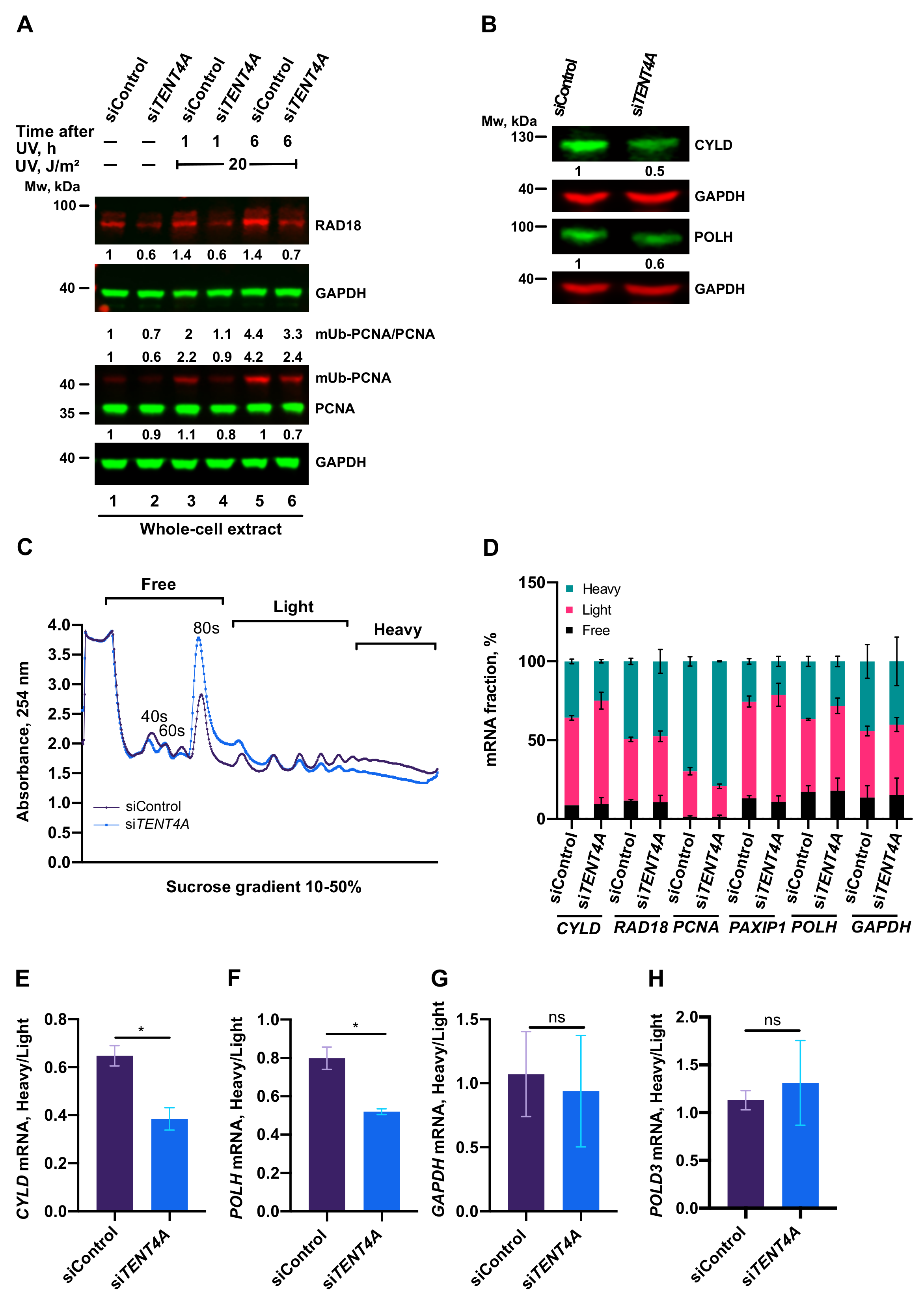 Ijms 22 06957 g003 Ijms 22 06957 g003