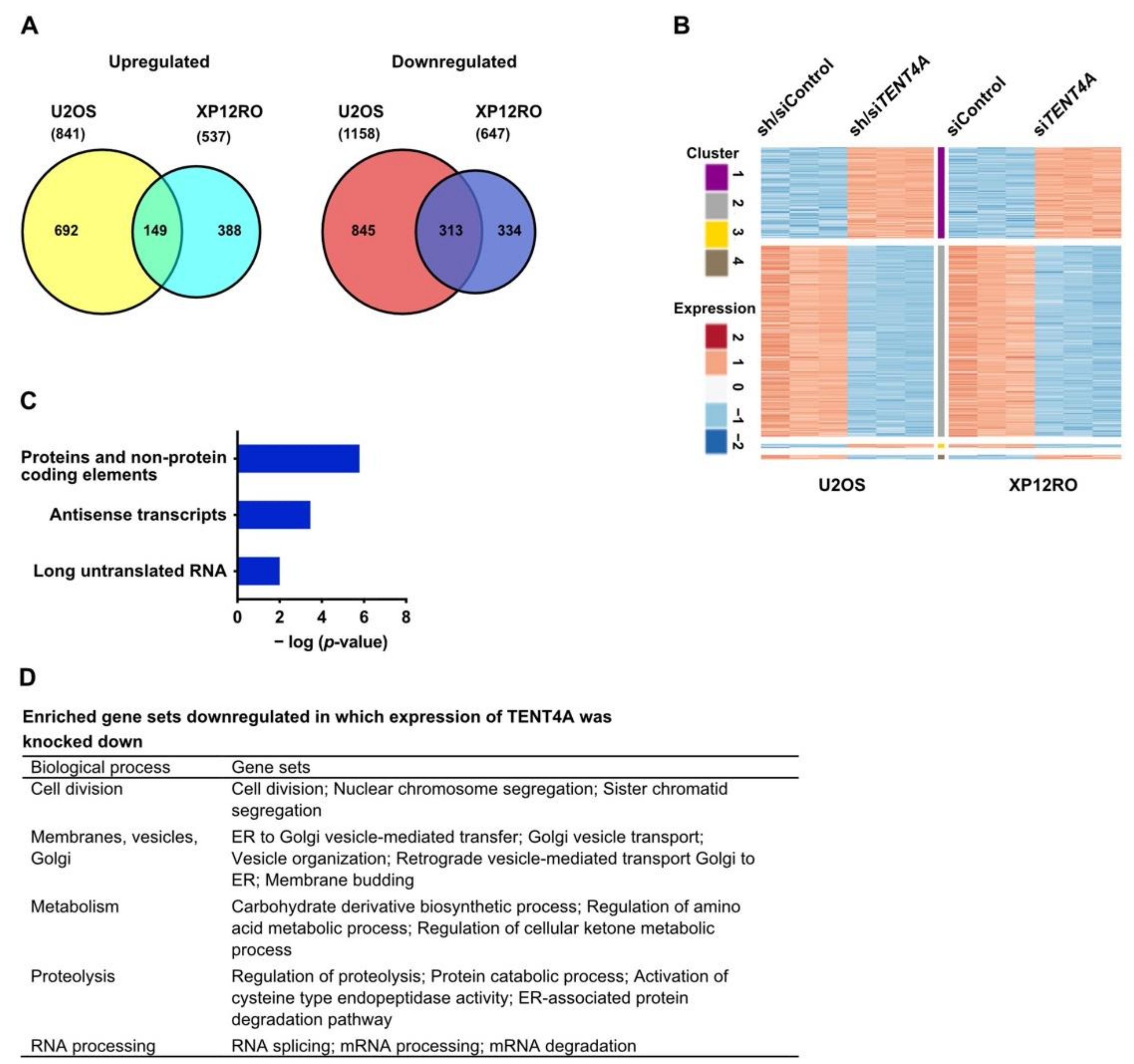 Ijms 22 06957 g006 Ijms 22 06957 g006