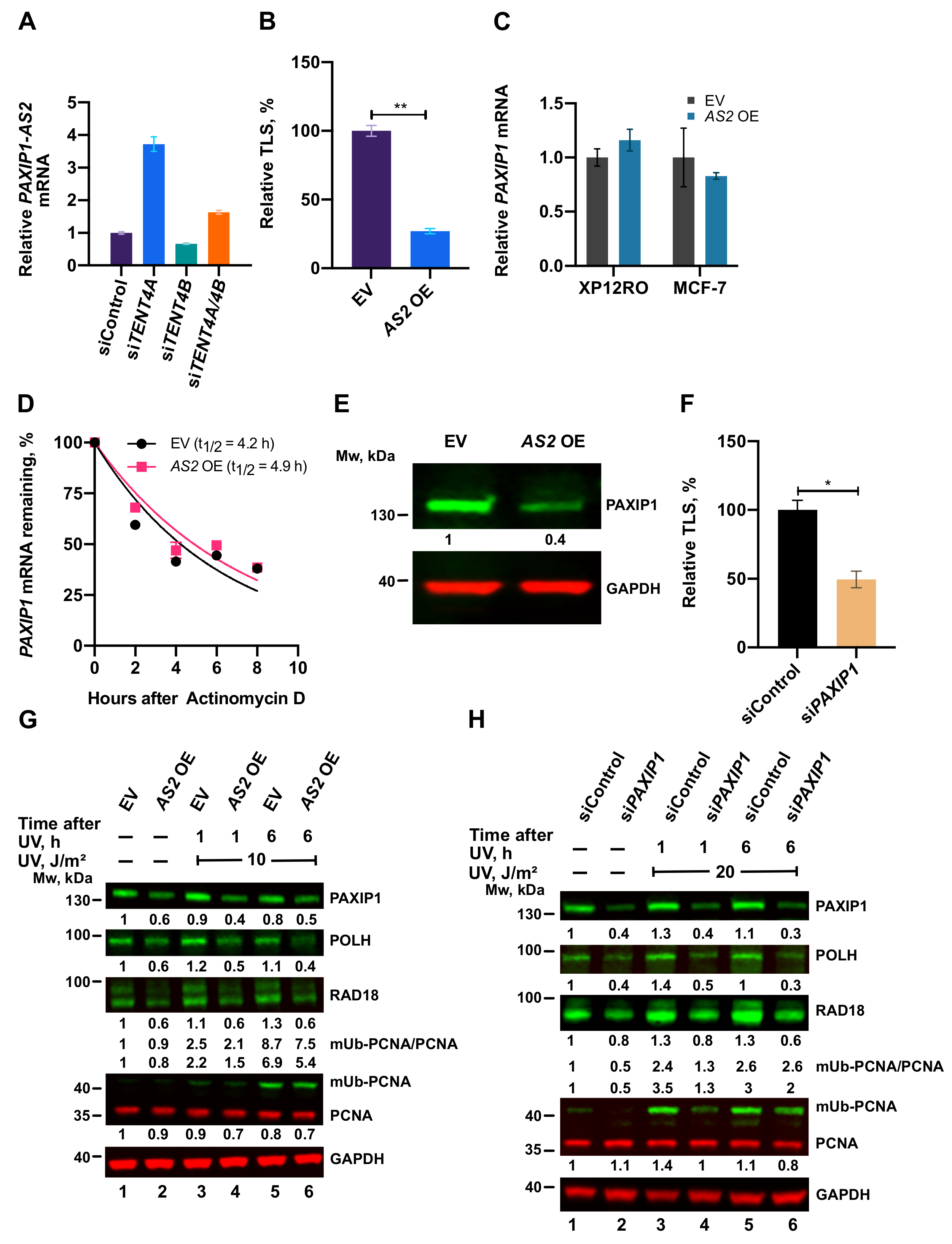Ijms 22 06957 g007 Ijms 22 06957 g007