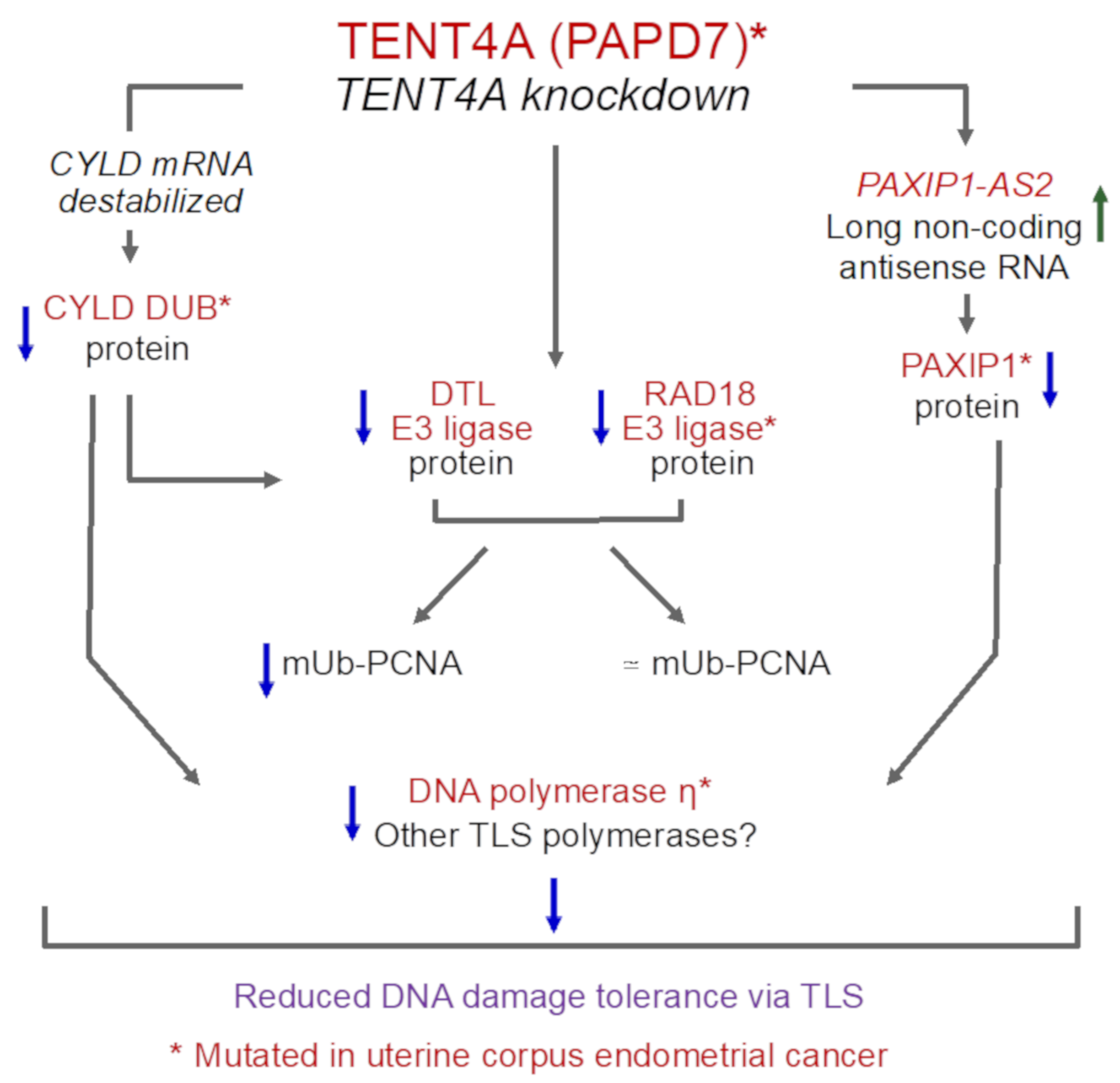 Ijms 22 06957 g009 Ijms 22 06957 g009