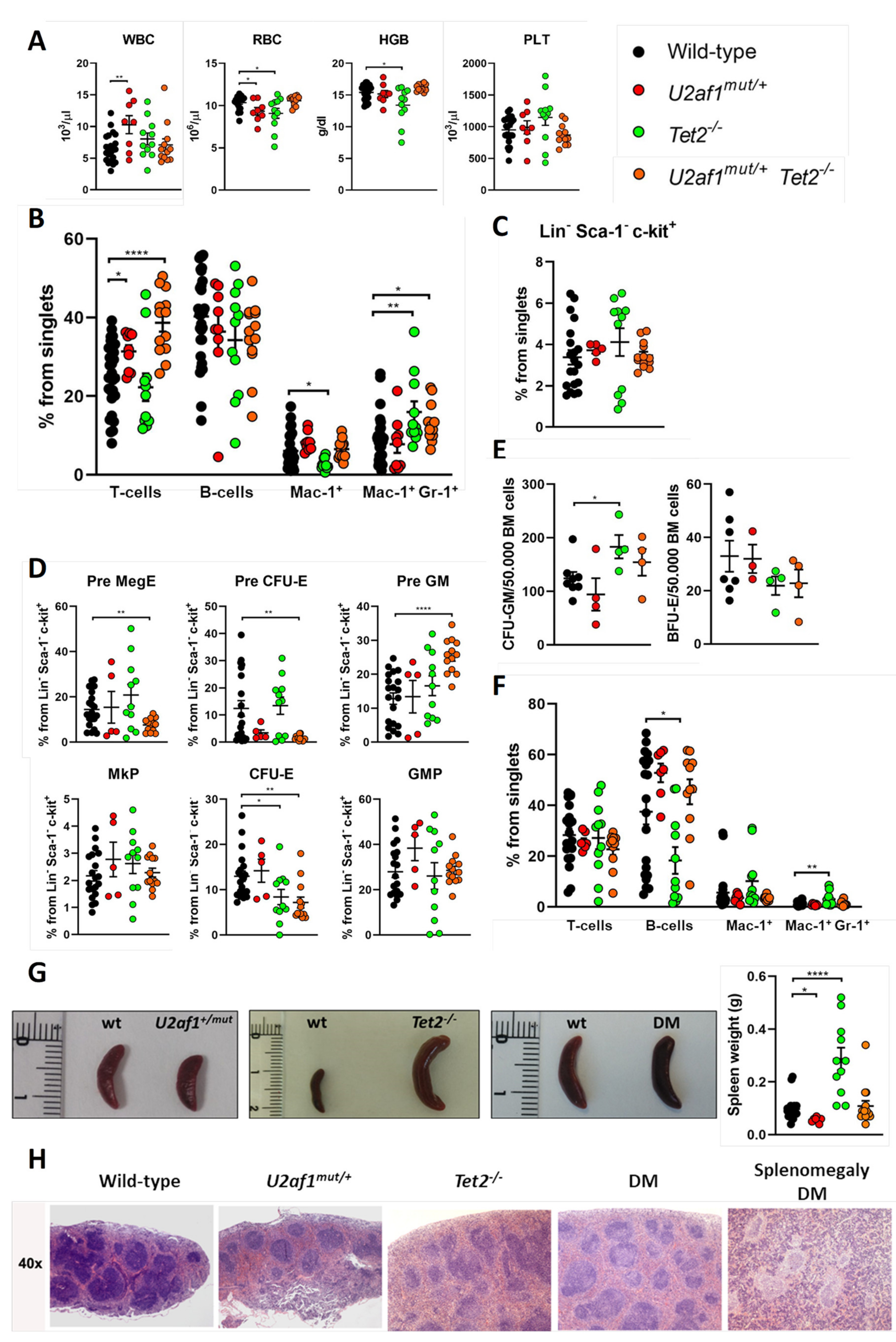 Ijms 22 06963 g003 550
