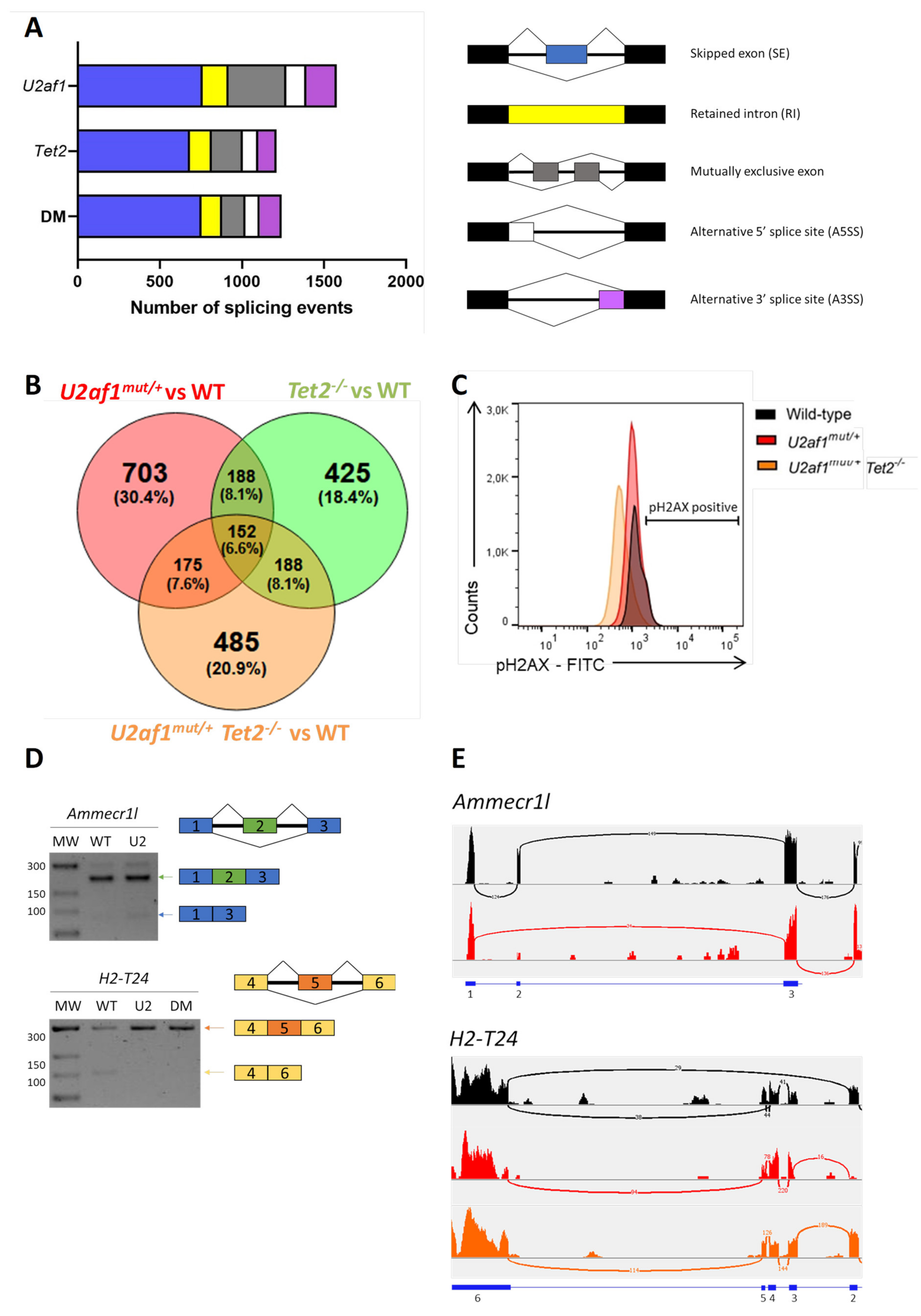 Ijms 22 06963 g005 550