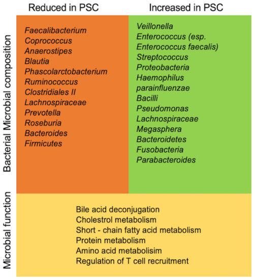 Ijms Free Full Text The Role Of Microbiota In Primary Sclerosing Cholangitis And Related Biliary Malignancies Html