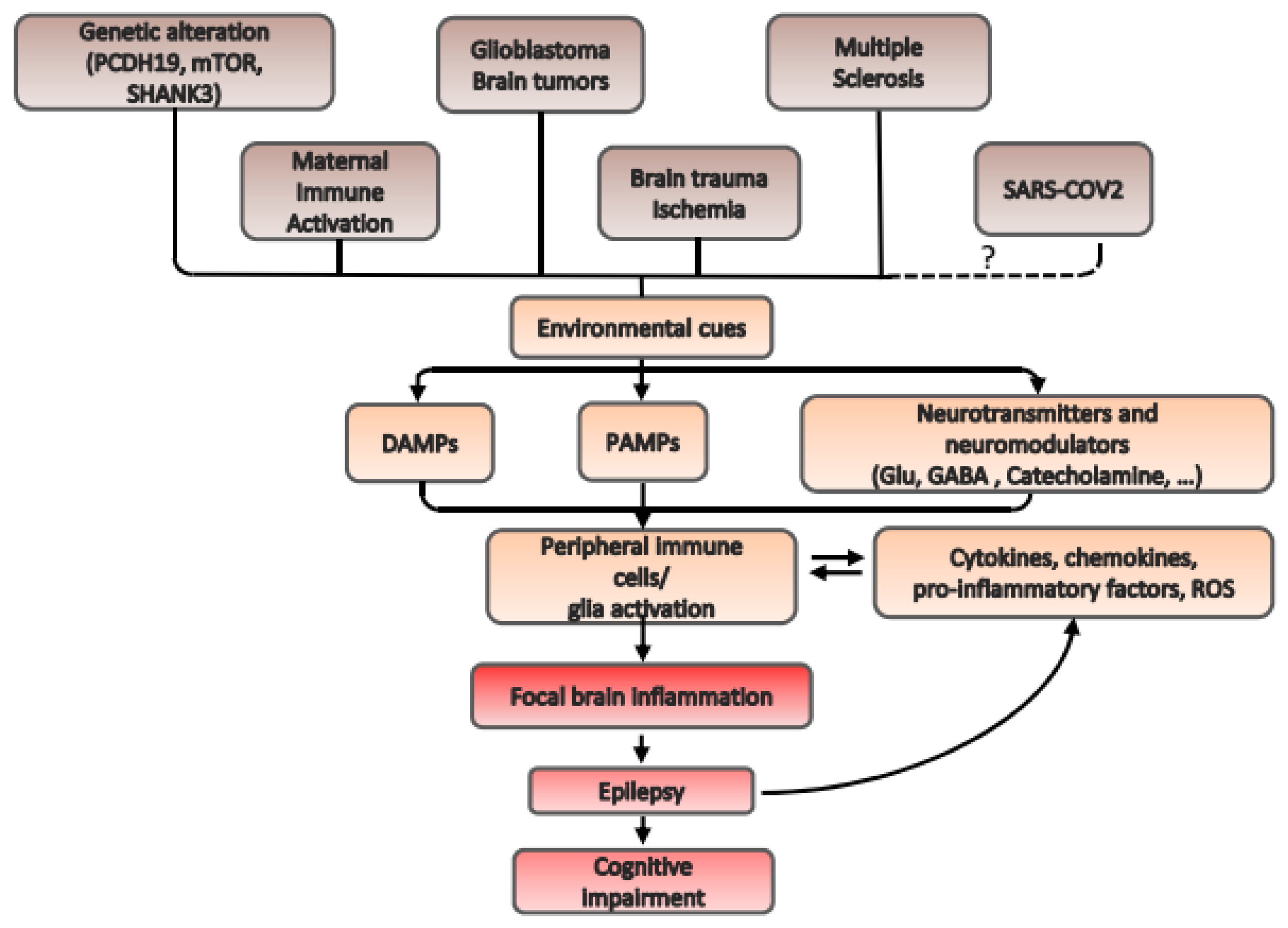 Ijms 22 06981 g001 Ijms 22 06981 g001