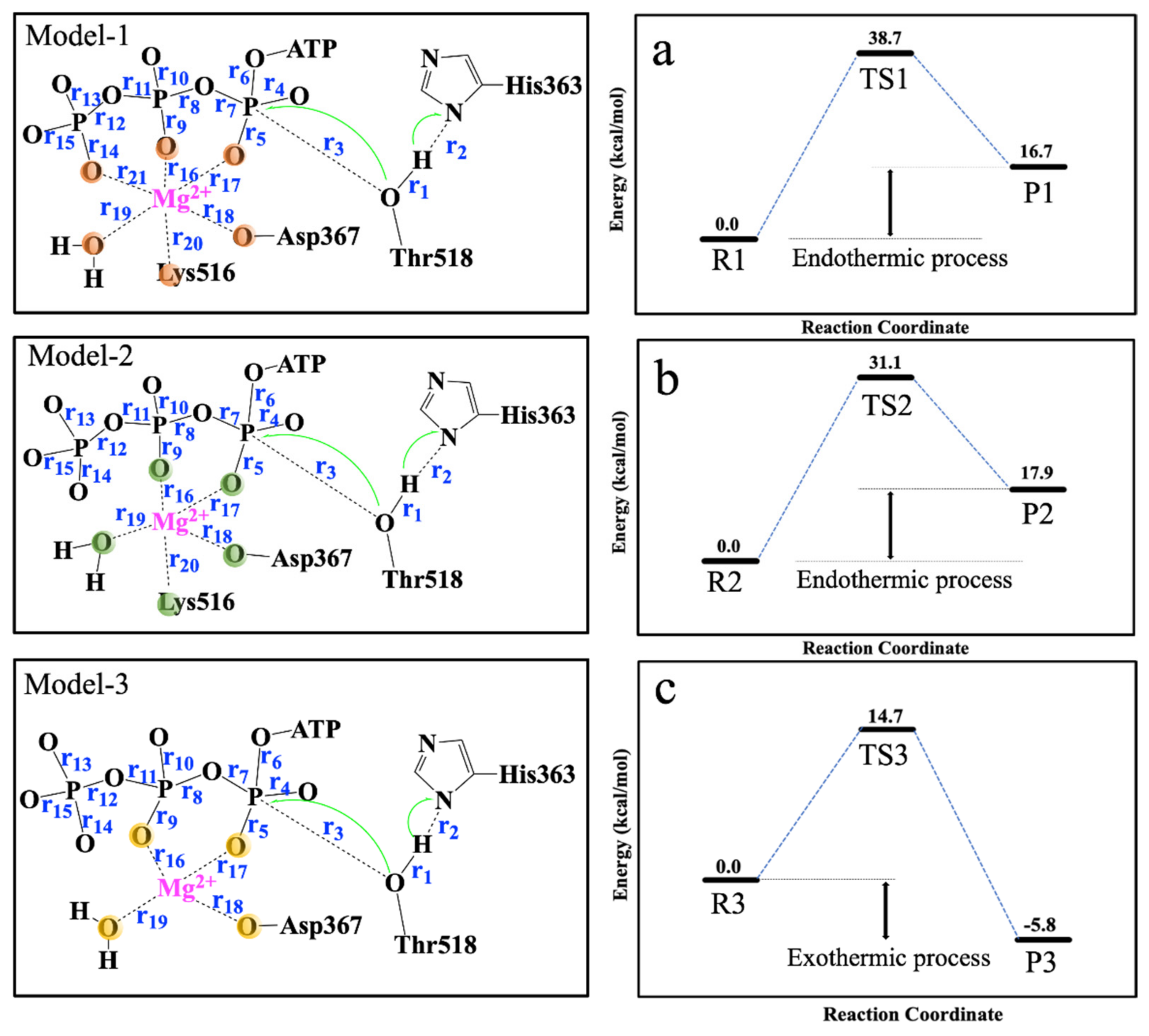 Ijms 22 06999 g001 550