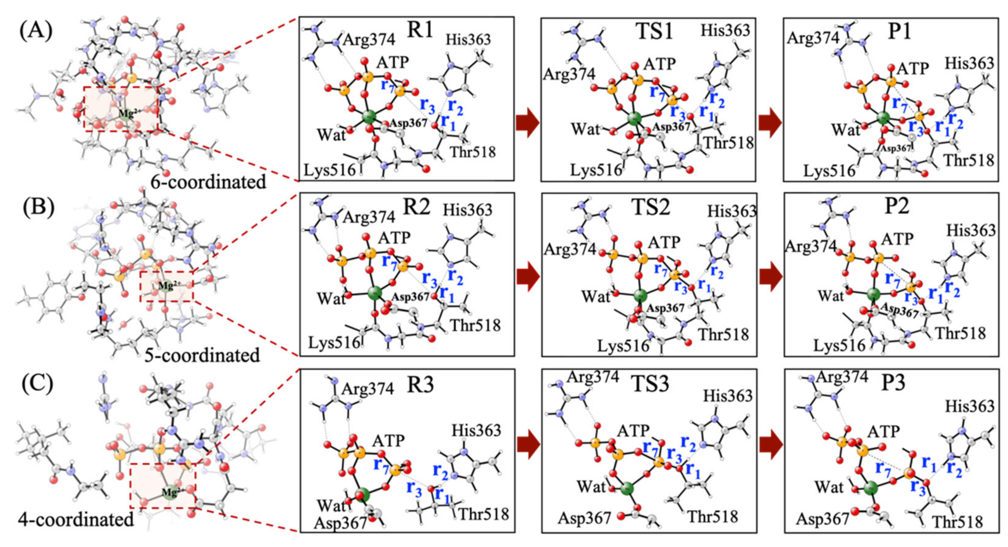 Ijms 22 06999 g002 550