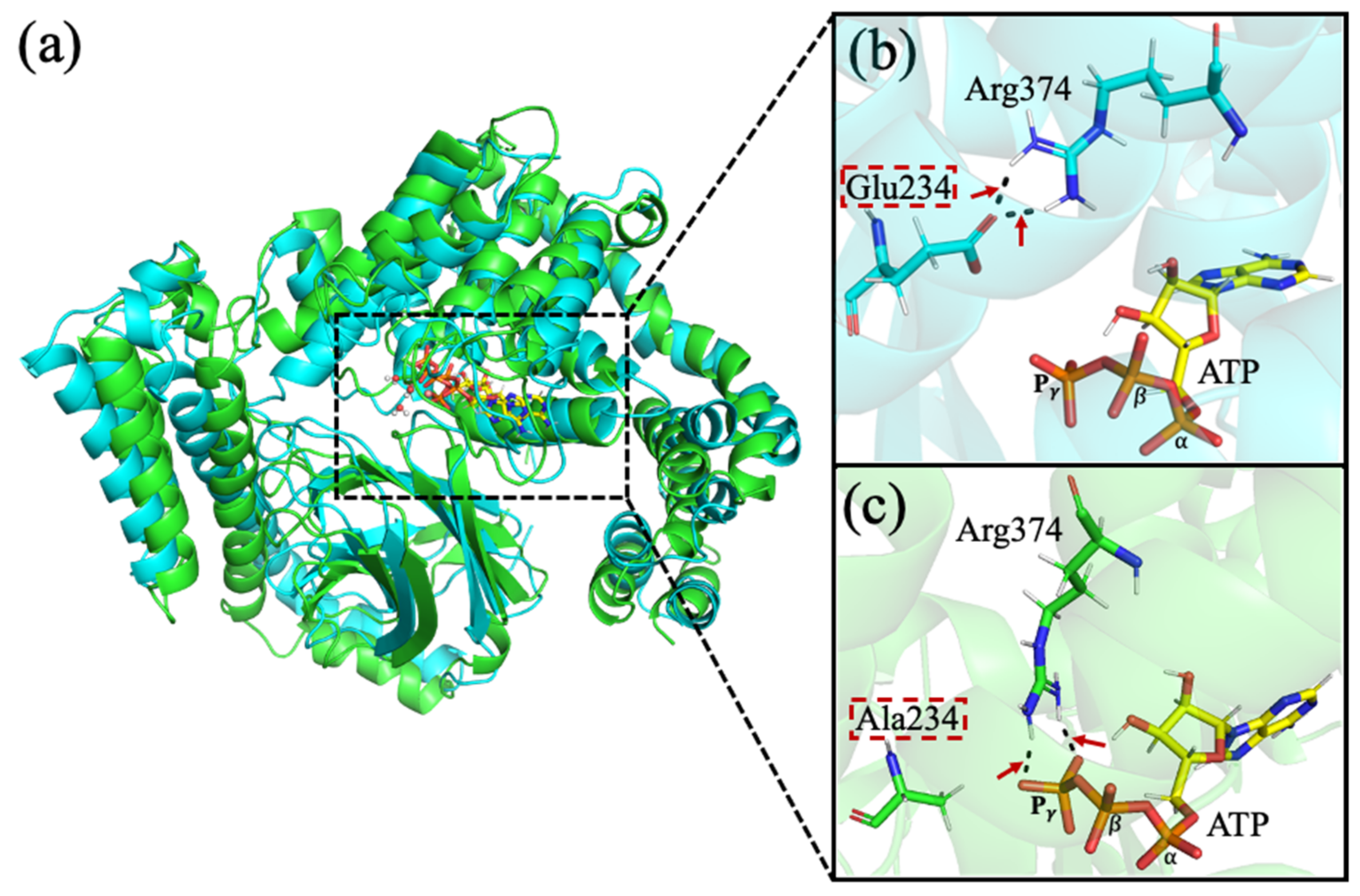 Ijms 22 06999 g004 550