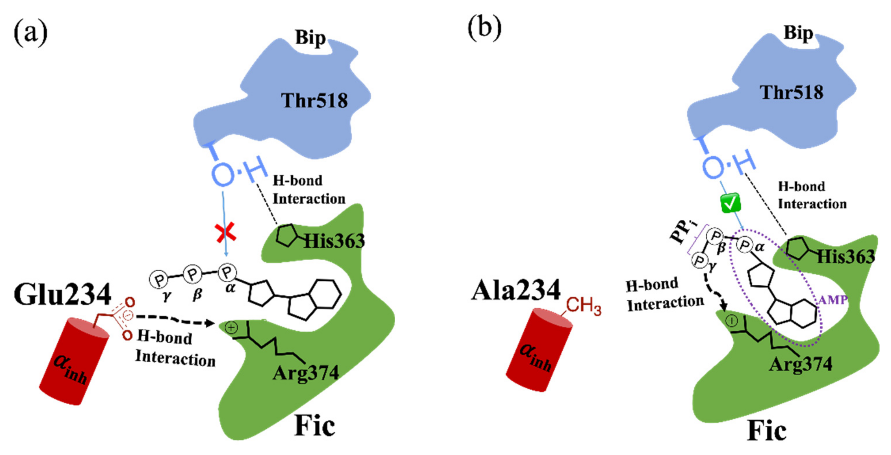 Ijms 22 06999 g005 550