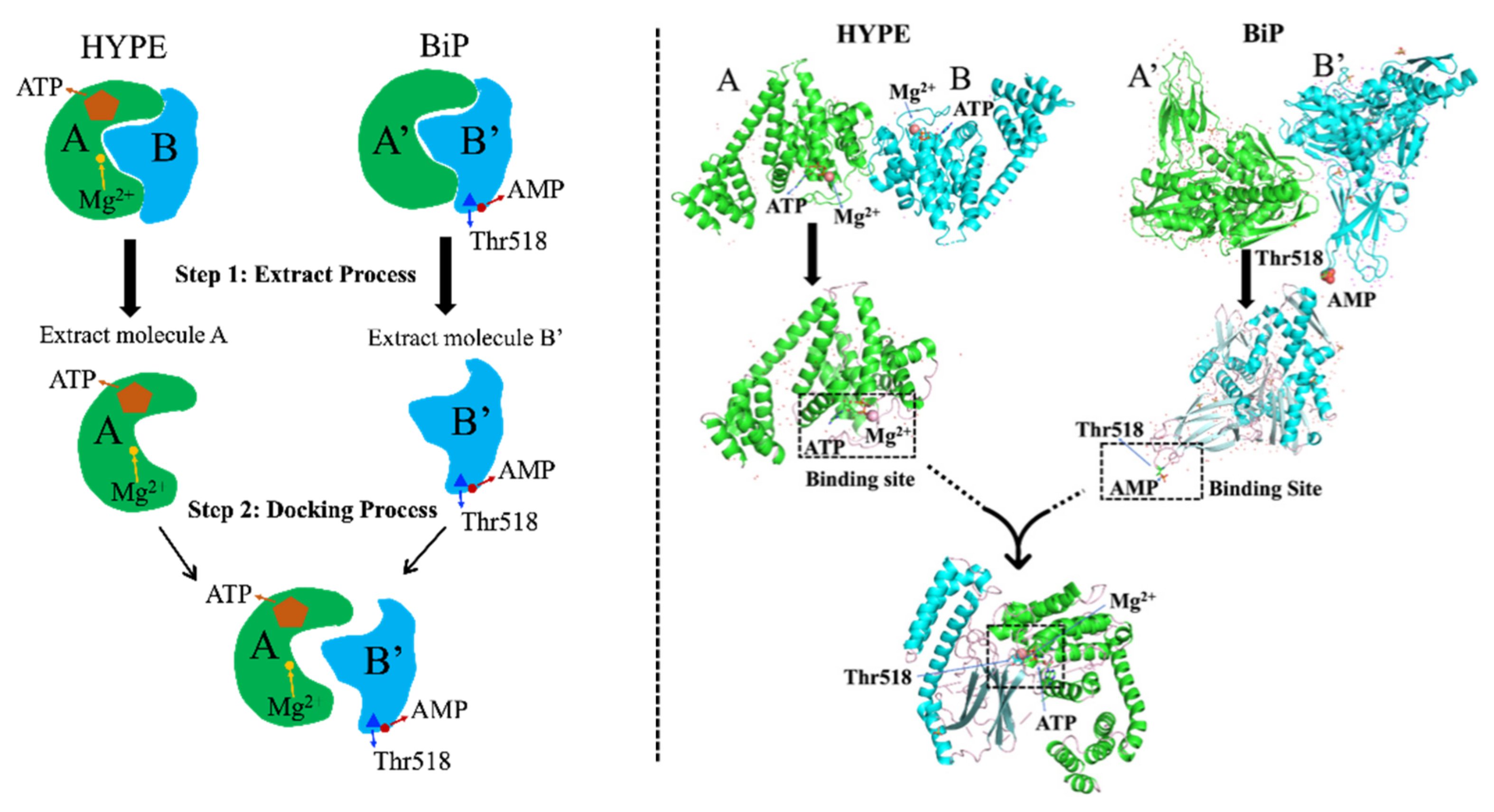 Ijms 22 06999 g006 550