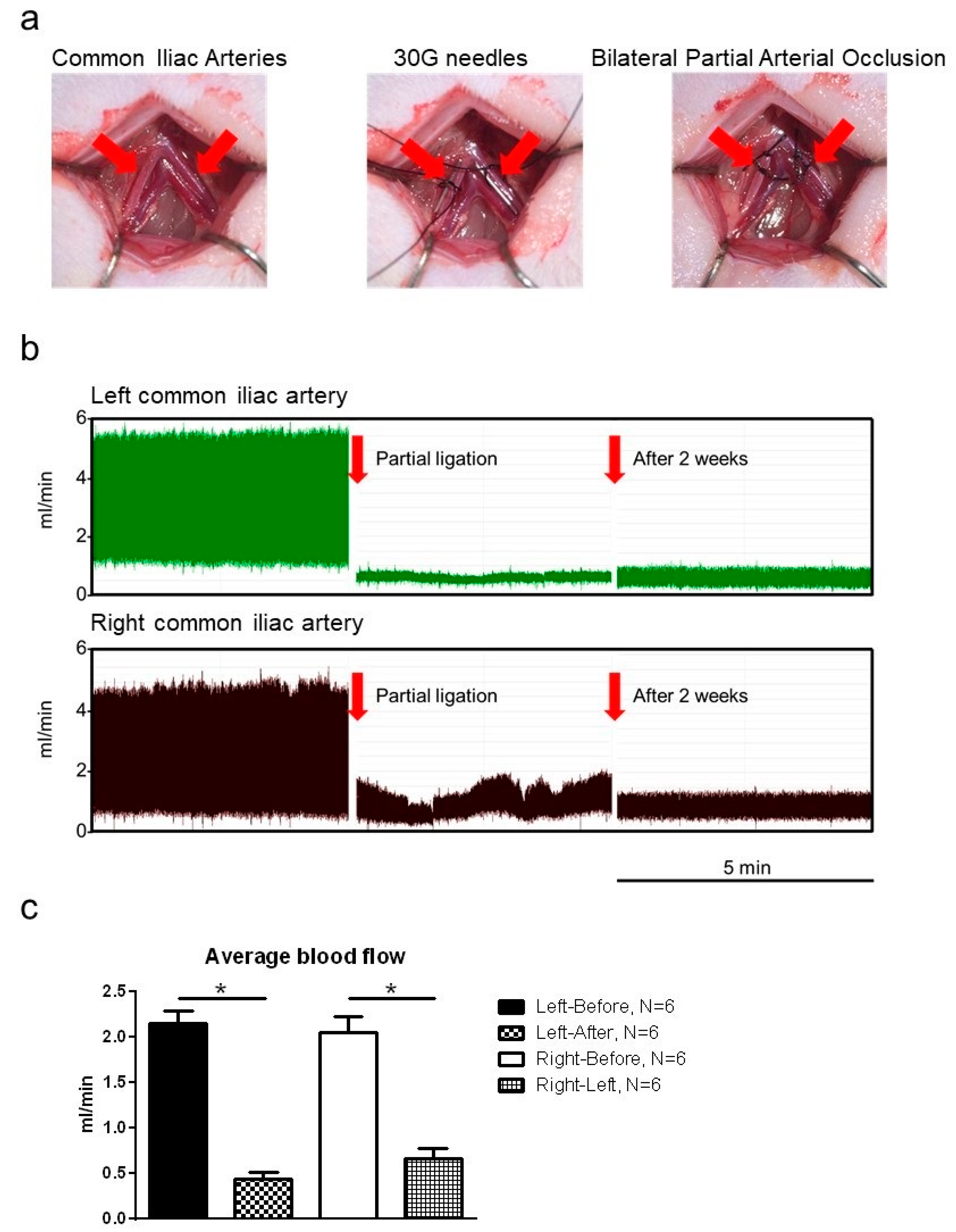 Ijms 22 07000 g001 550