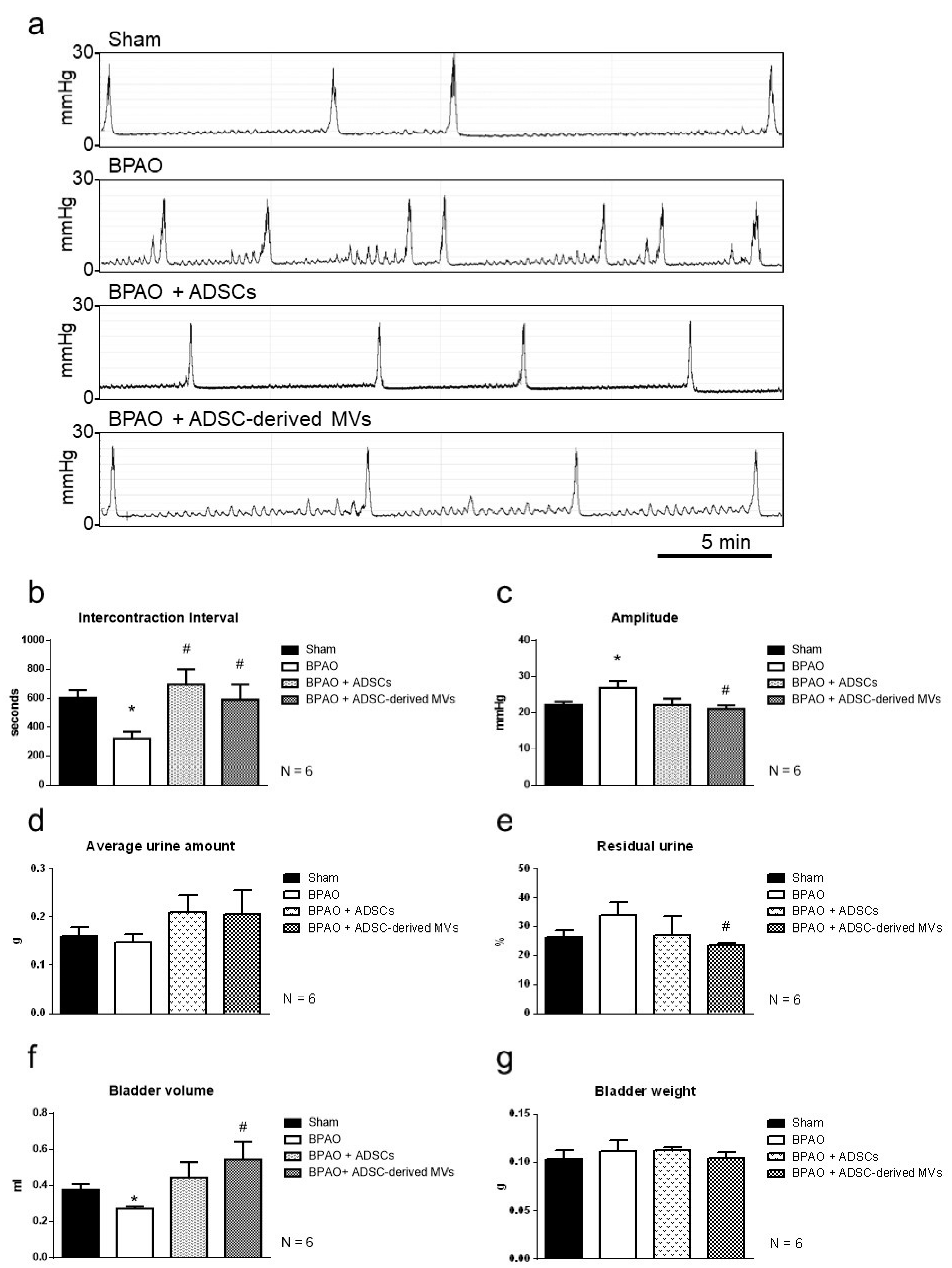 Ijms 22 07000 g004 550