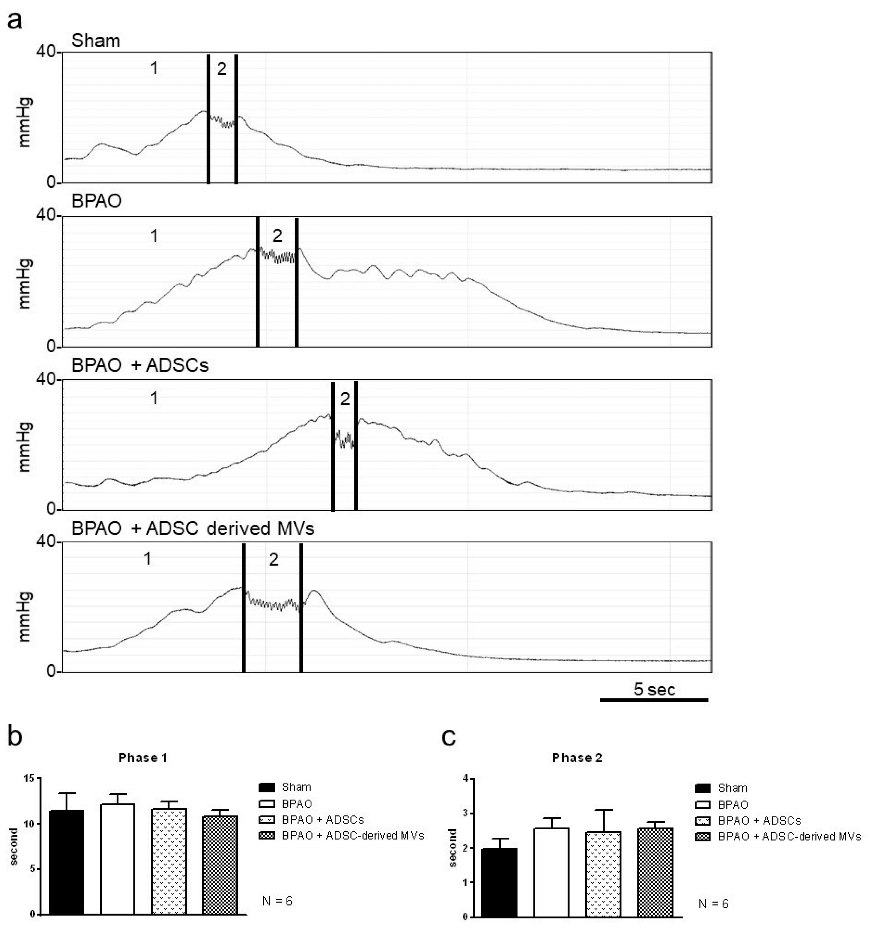 Ijms 22 07000 g005 550