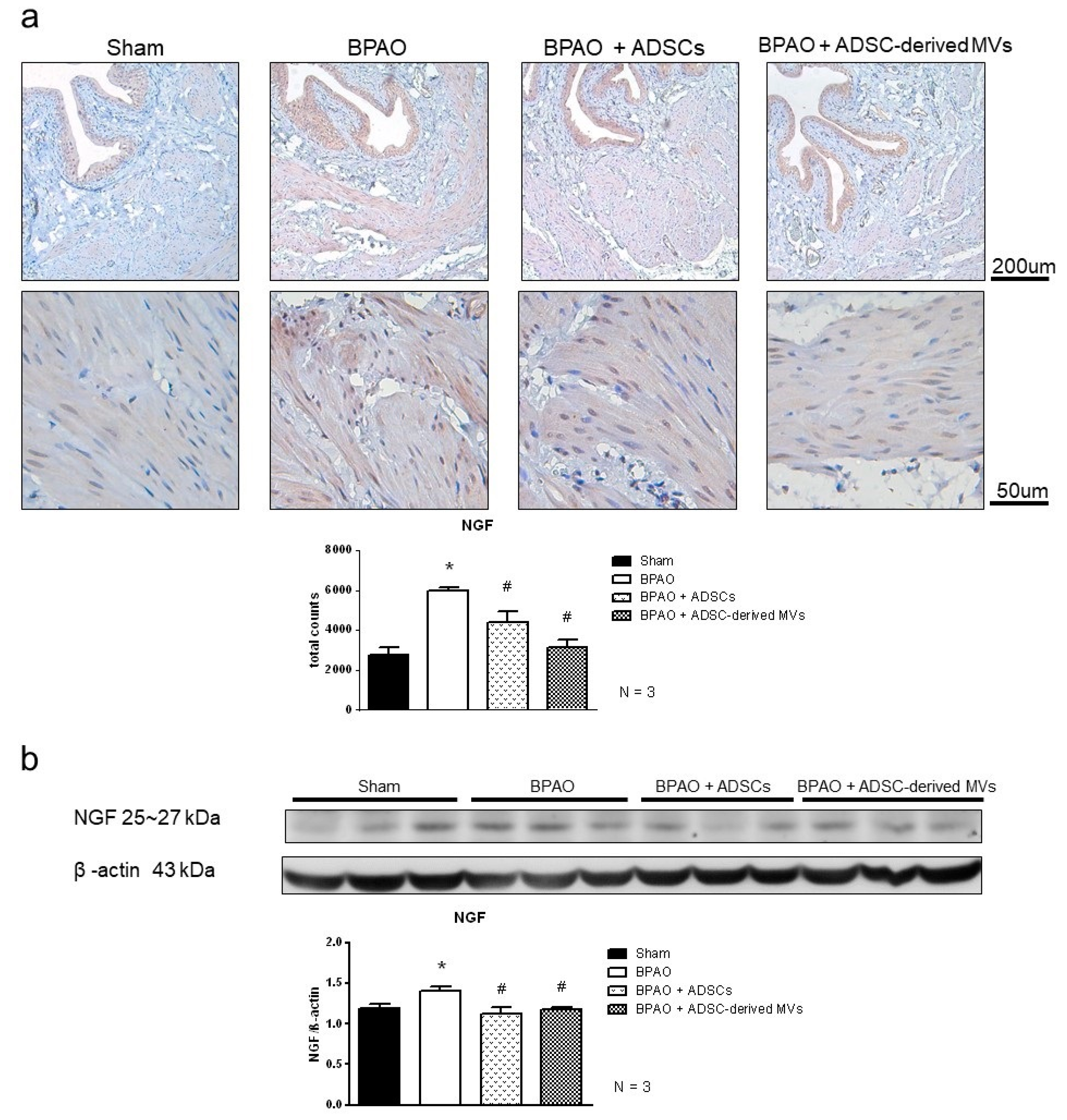 Ijms 22 07000 g009 550