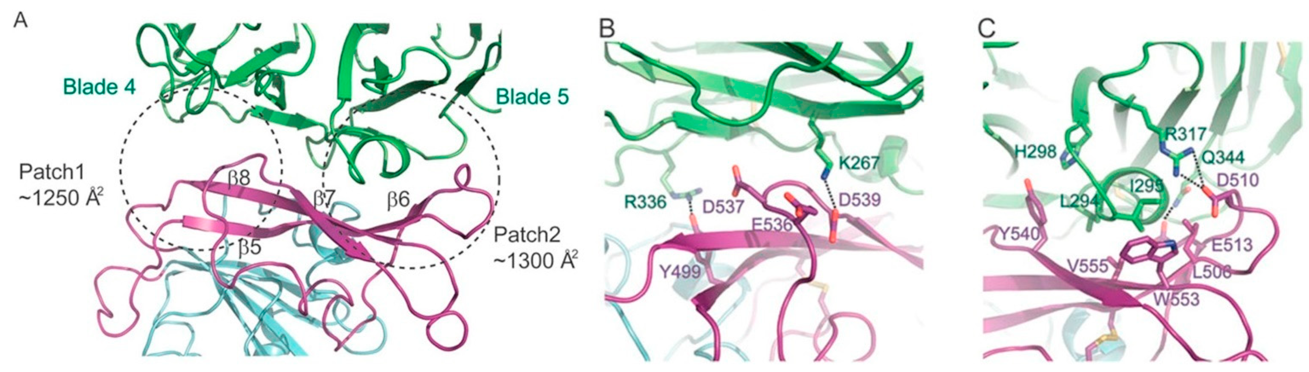 Ijms 22 07001 g001 550