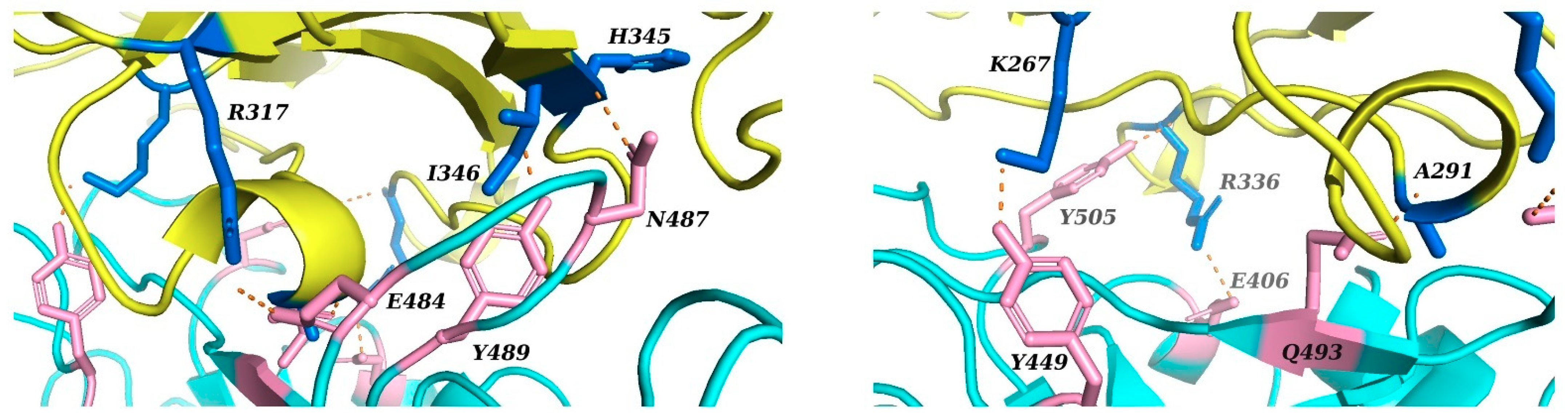 Ijms 22 07001 g003 550