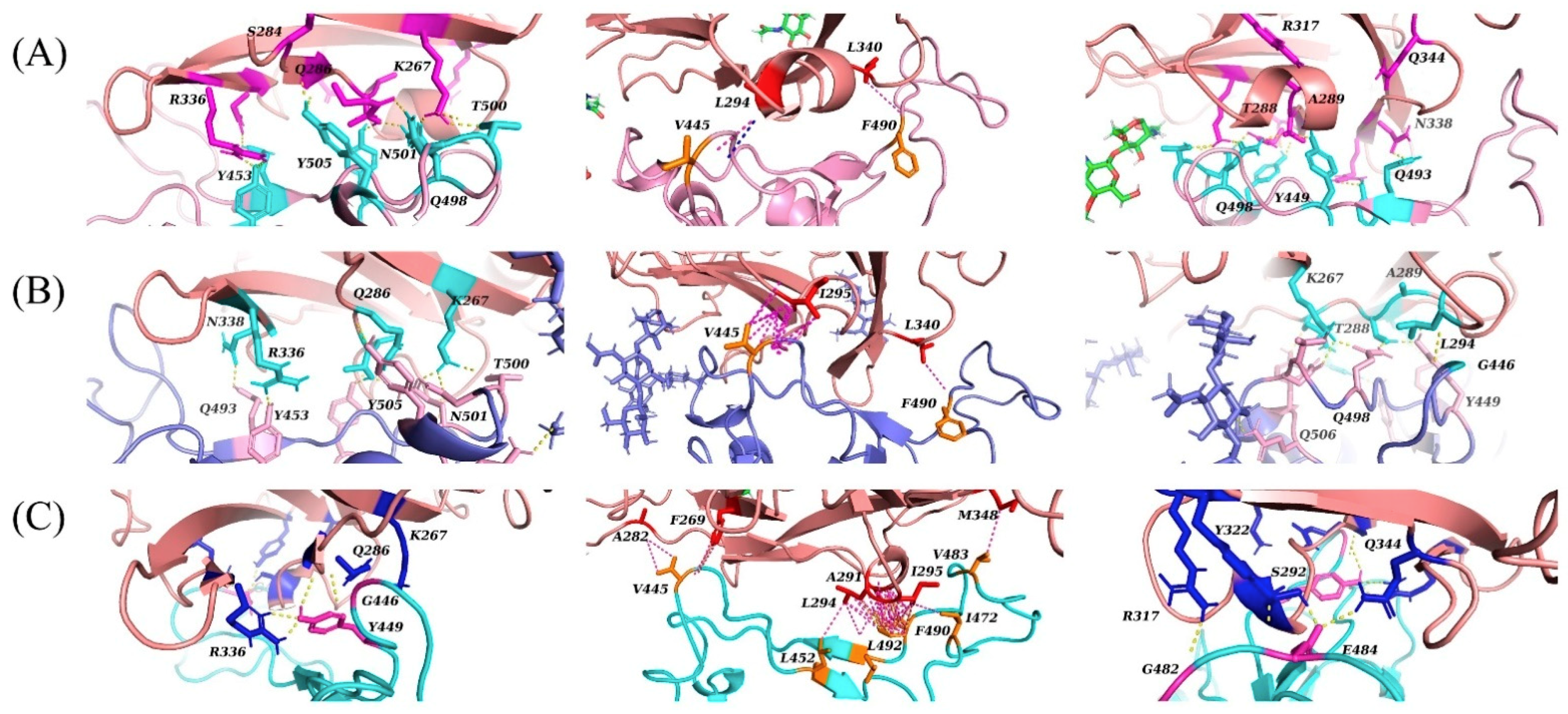 Ijms 22 07001 g004 550