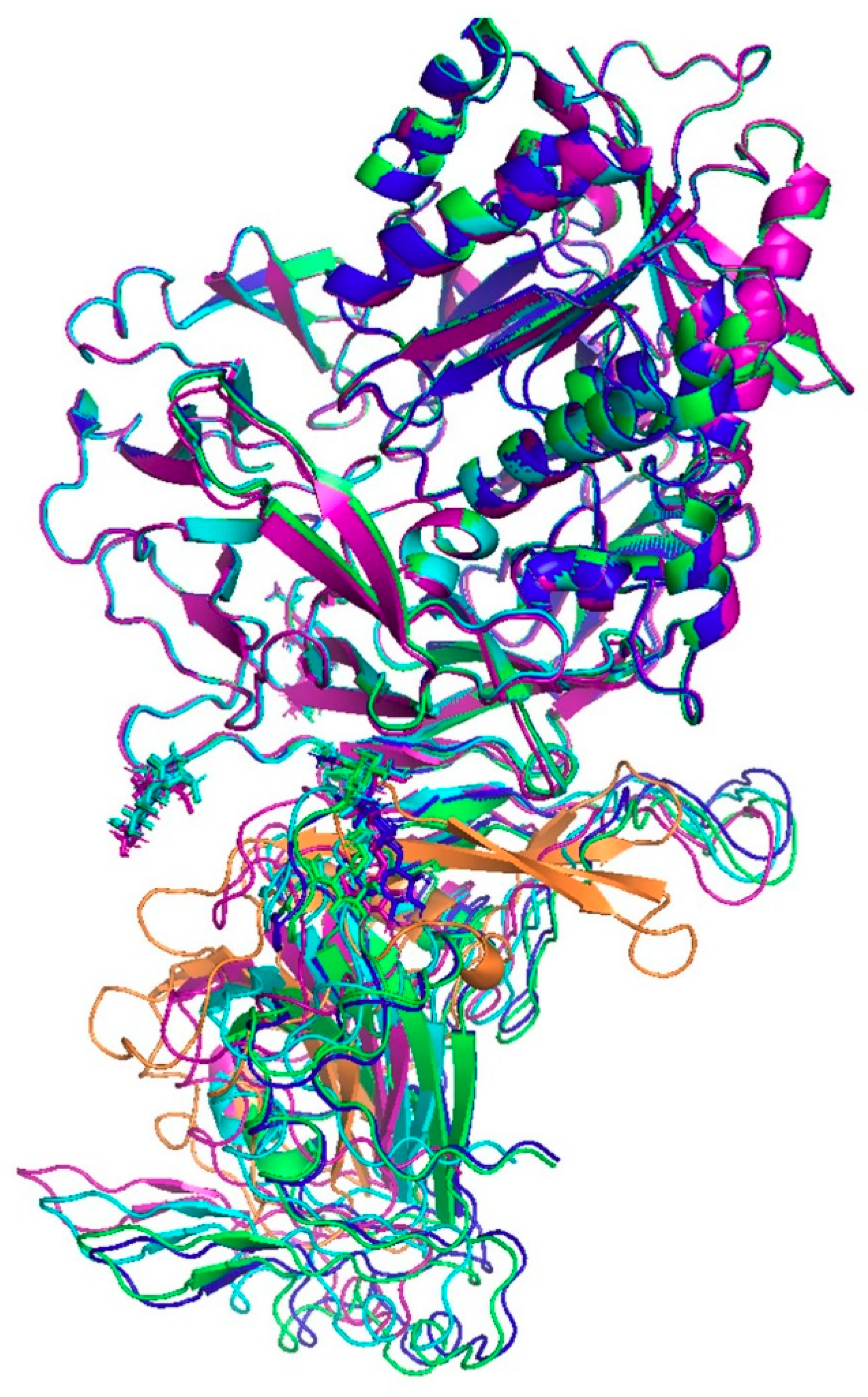 Ijms 22 07001 g005 550