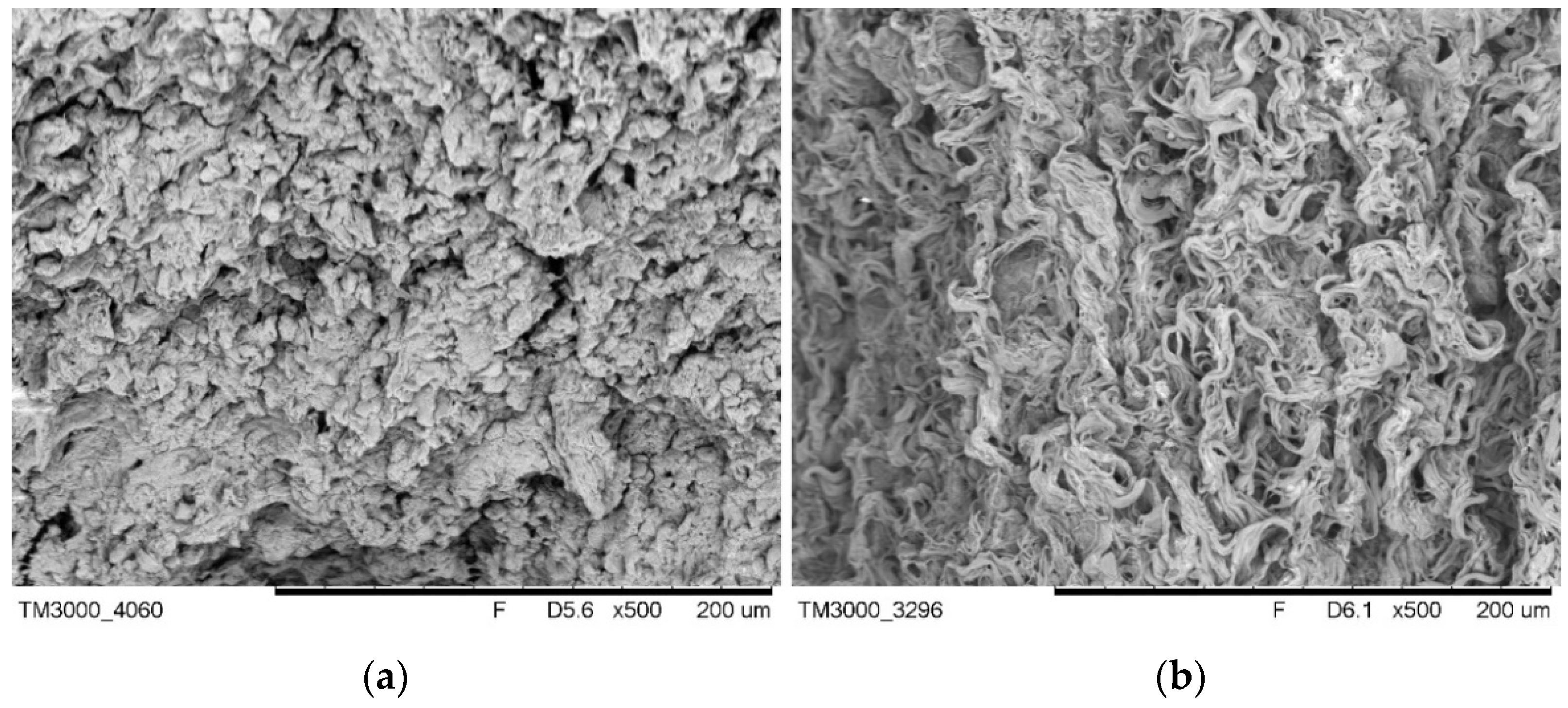 Ijms 22 07005 g010 550