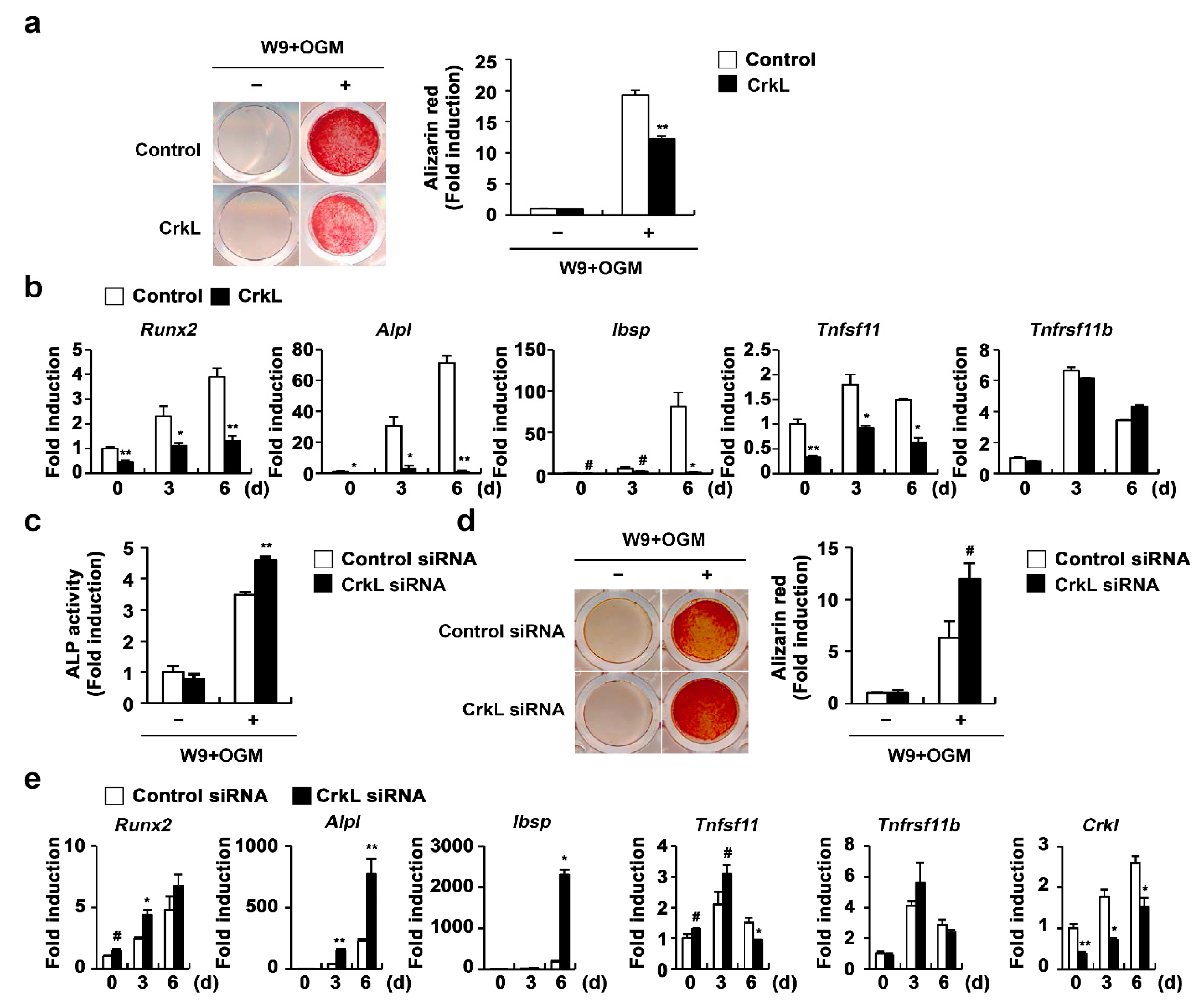 Ijms 22 07007 g003 Ijms 22 07007 g003