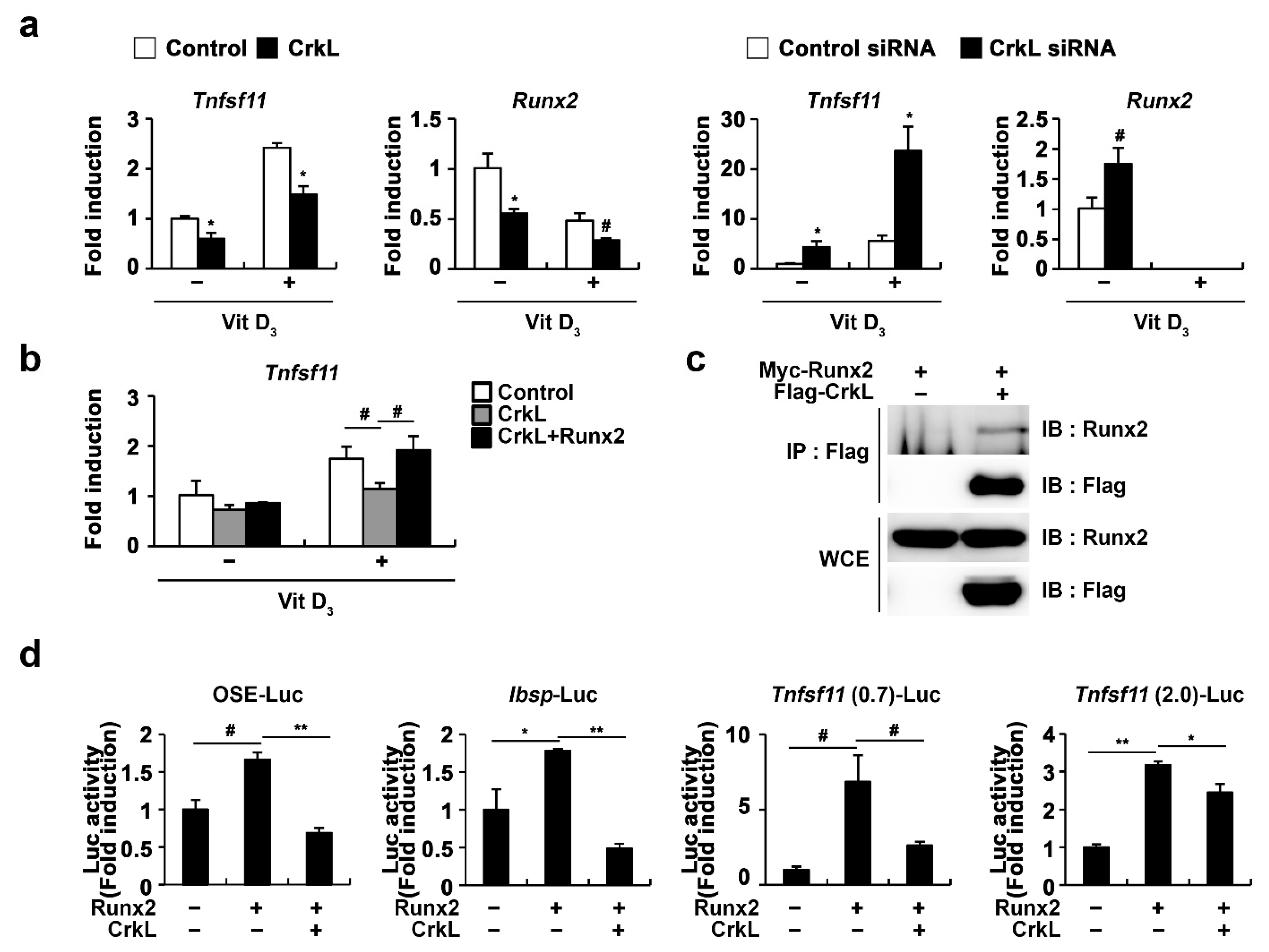 Ijms 22 07007 g004 Ijms 22 07007 g004