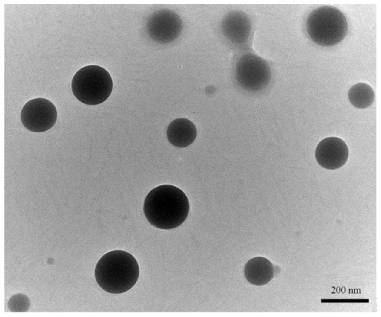 Ijms 22 07013 g001 Ijms 22 07013 g001