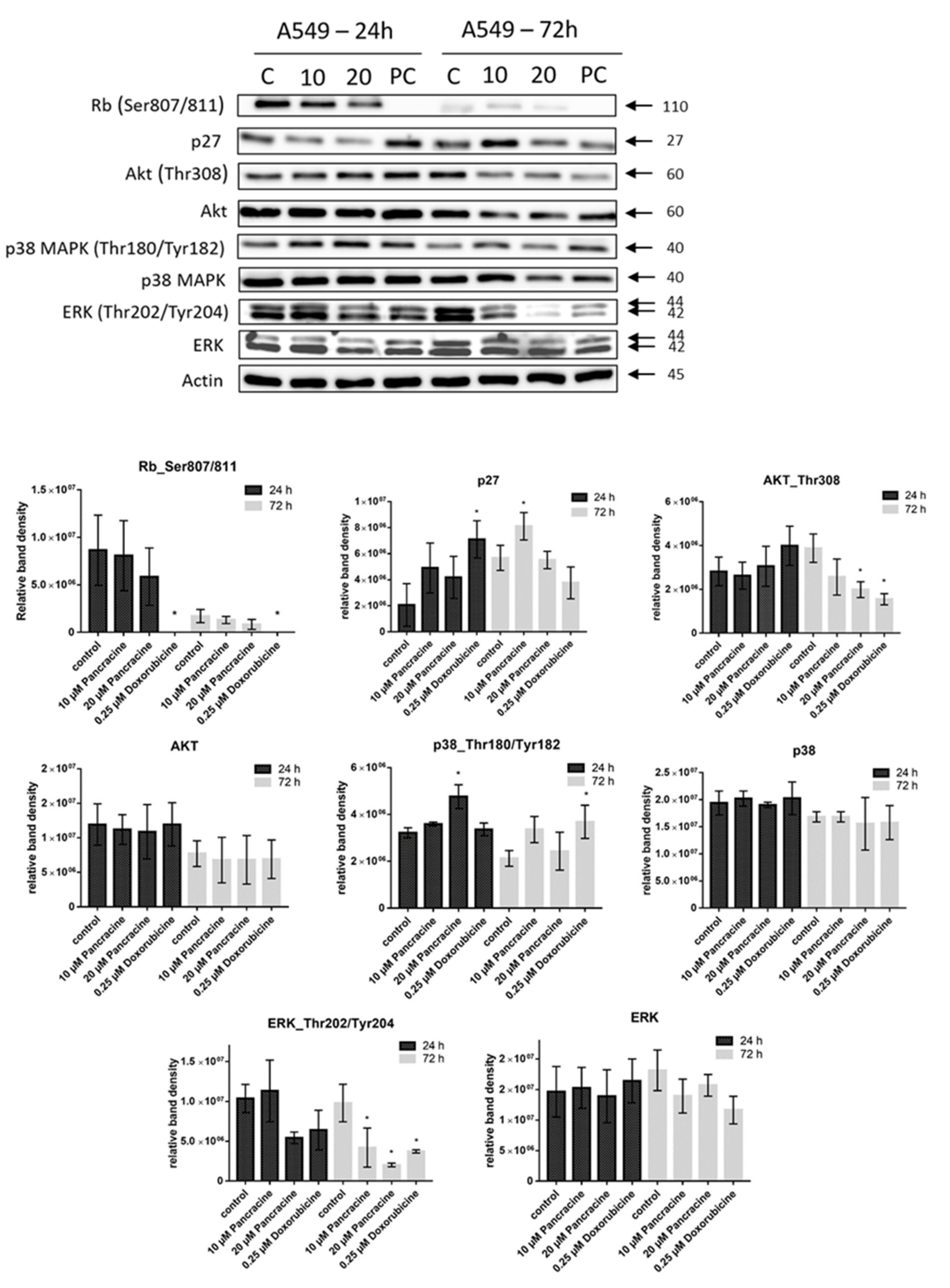 Ijms 22 07014 g008 550