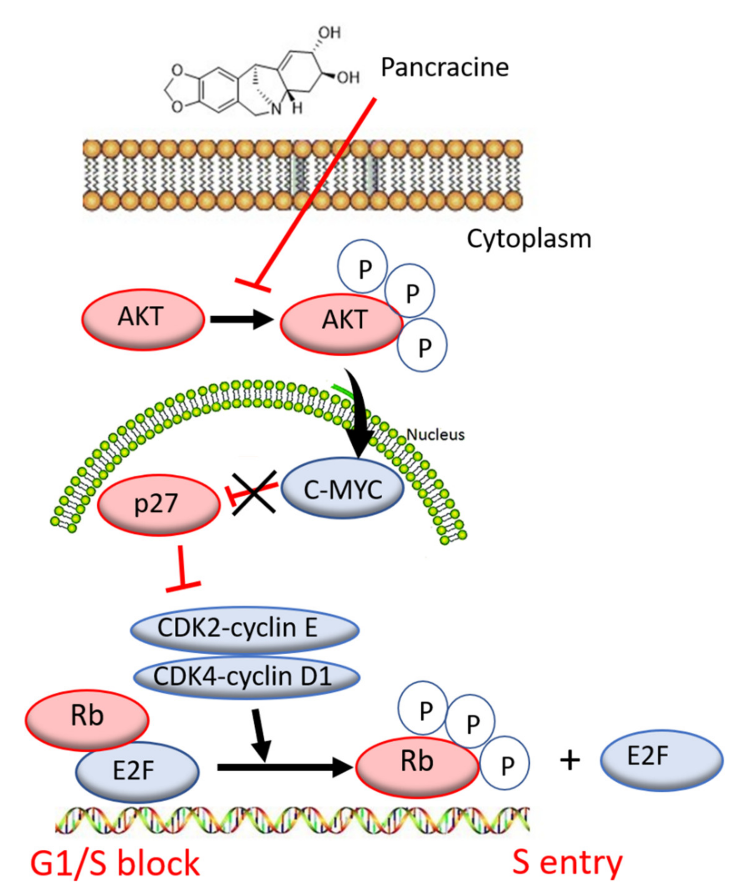 Ijms 22 07014 g010 550