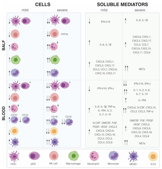 Innate Immune Response to SARS-CoV-2 Infection: From Cells to Soluble ...
