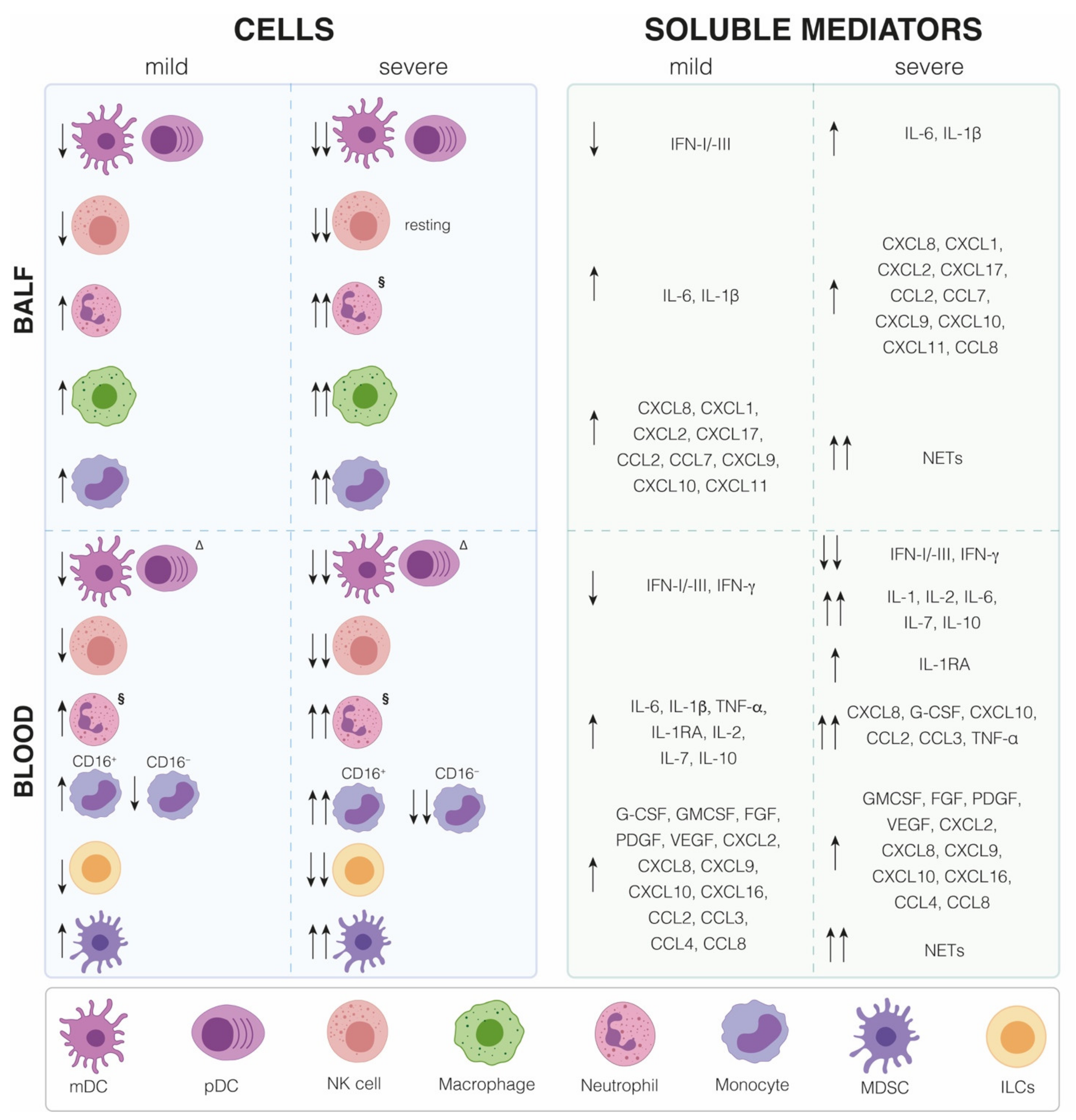 Ijms 22 07017 g002 550