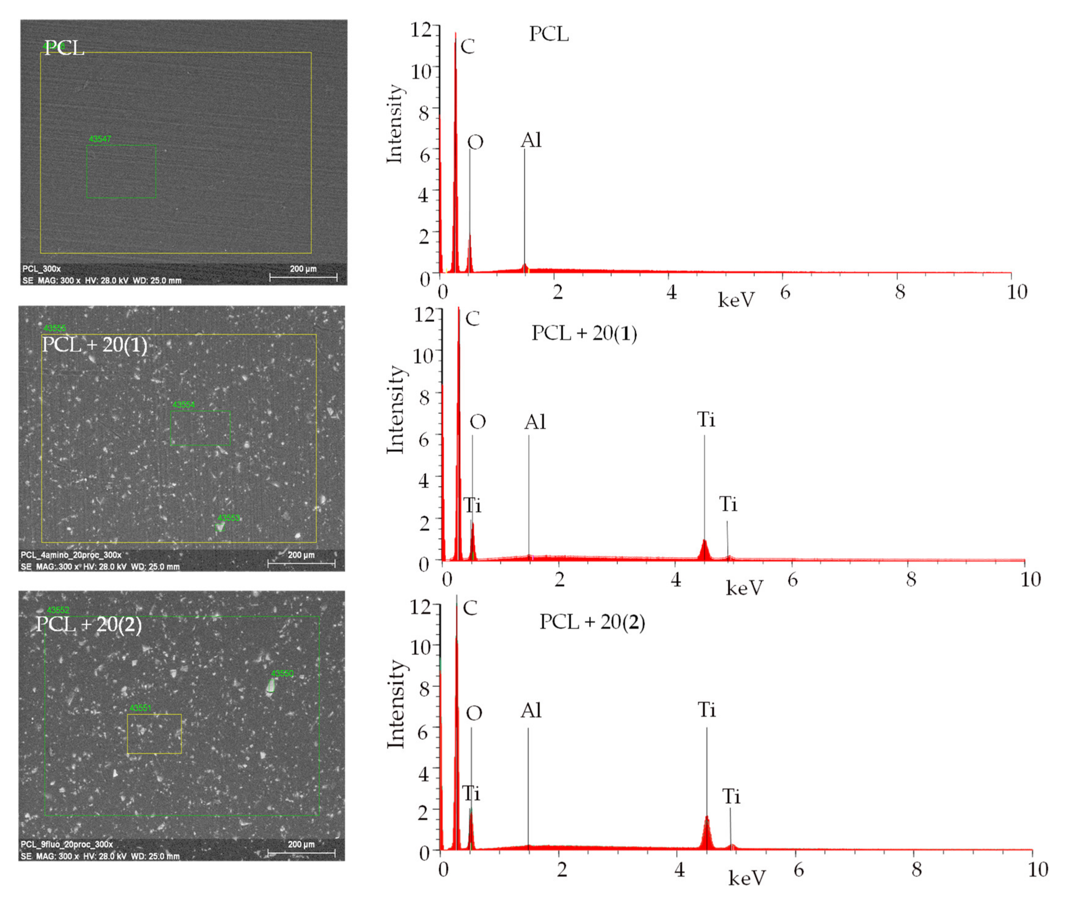 Ijms 22 07021 g004 550