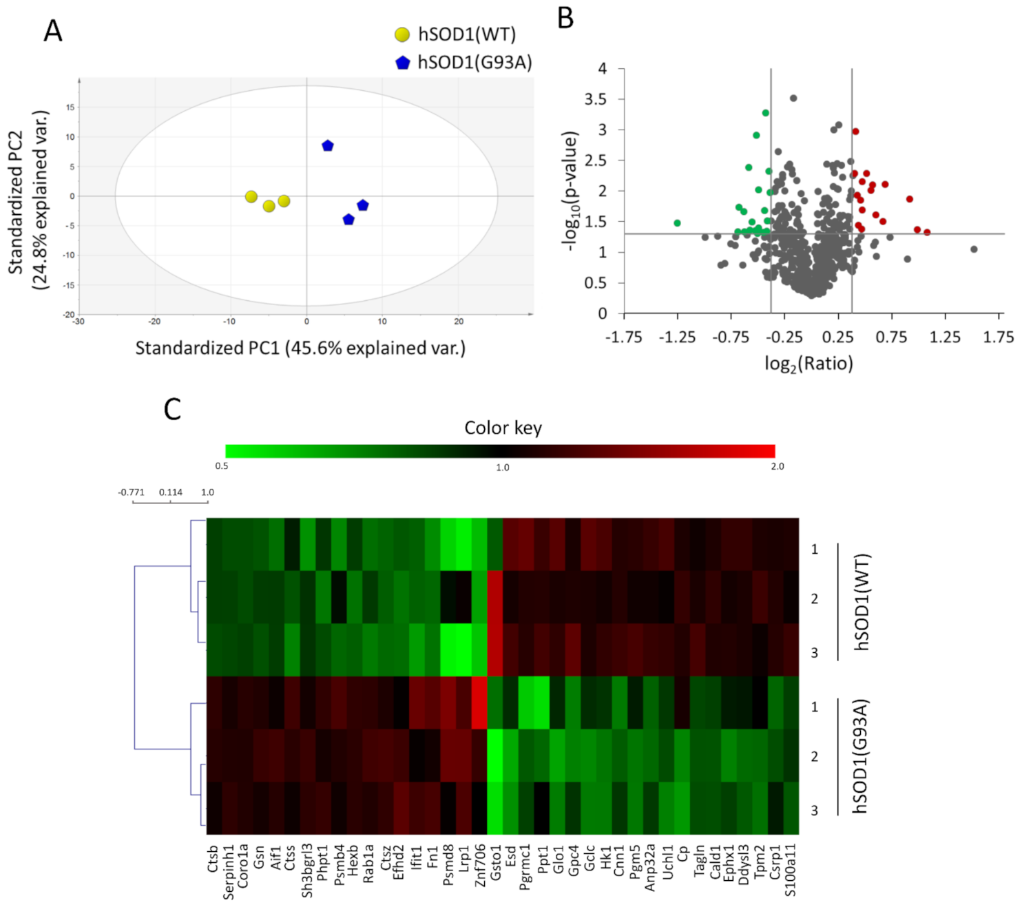 Ijms 22 07028 g002 Ijms 22 07028 g002