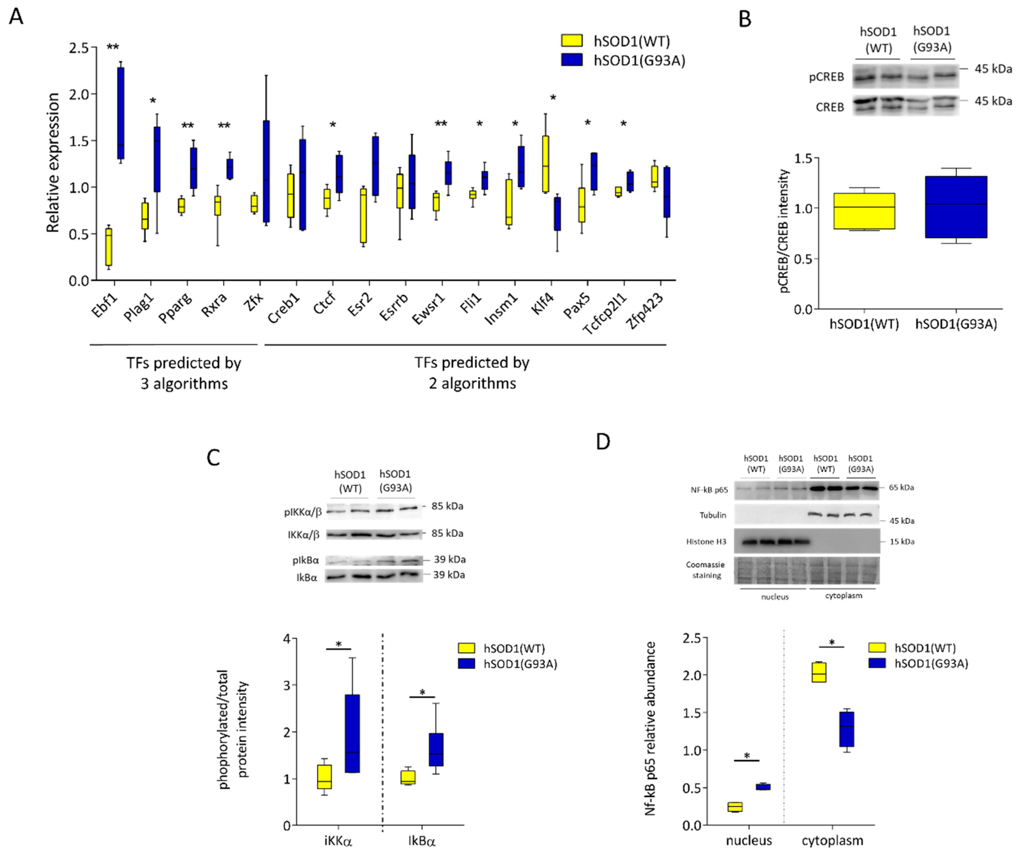 Ijms 22 07028 g006 Ijms 22 07028 g006