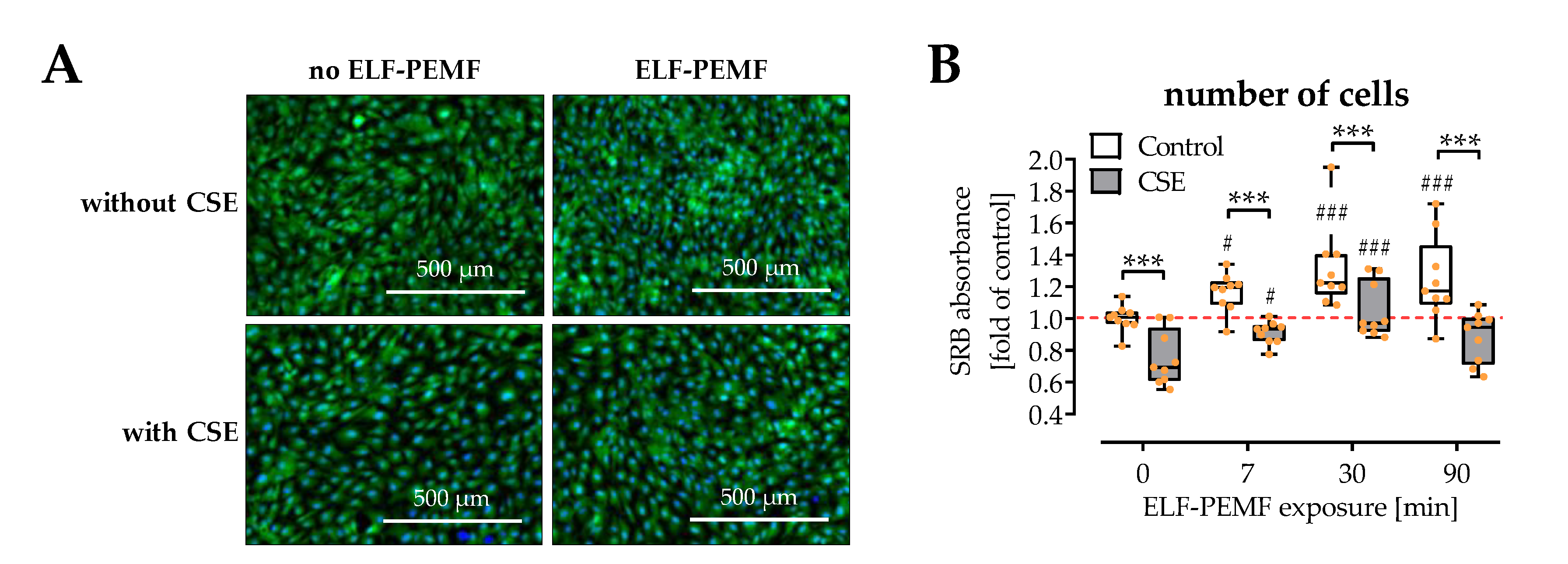 Ijms 22 07036 g001 550